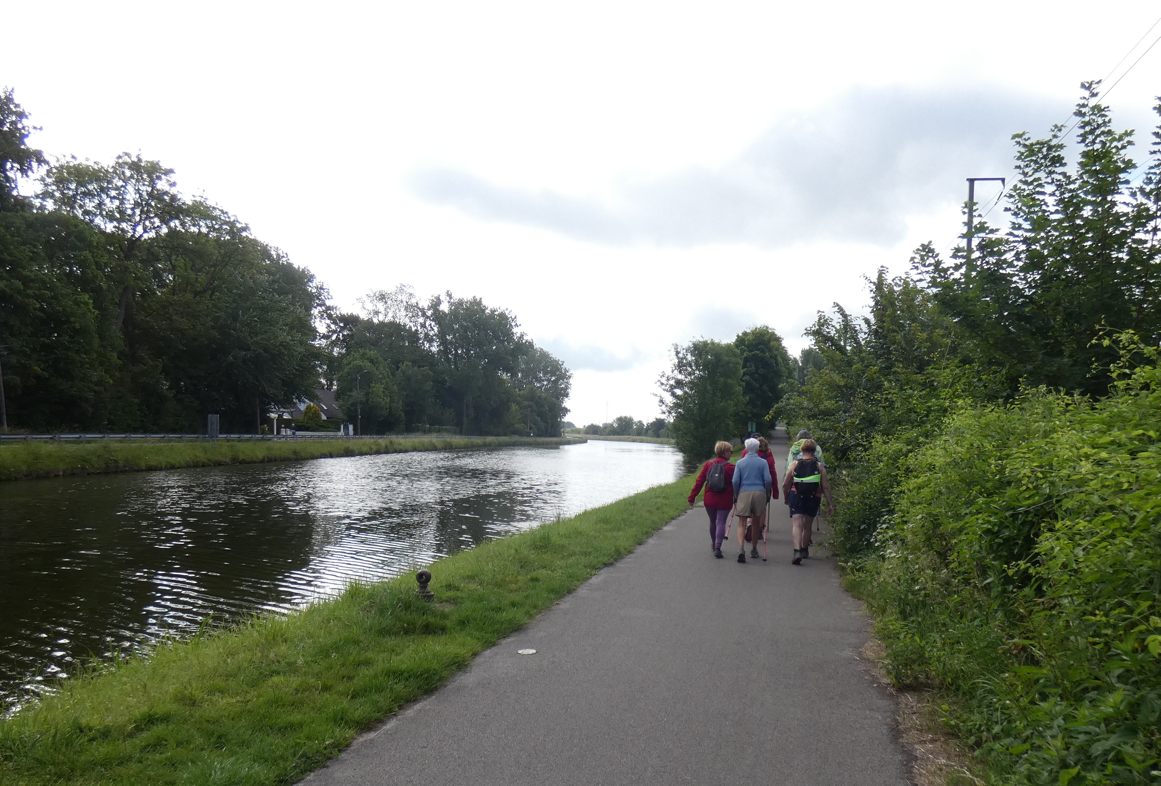 Image 81