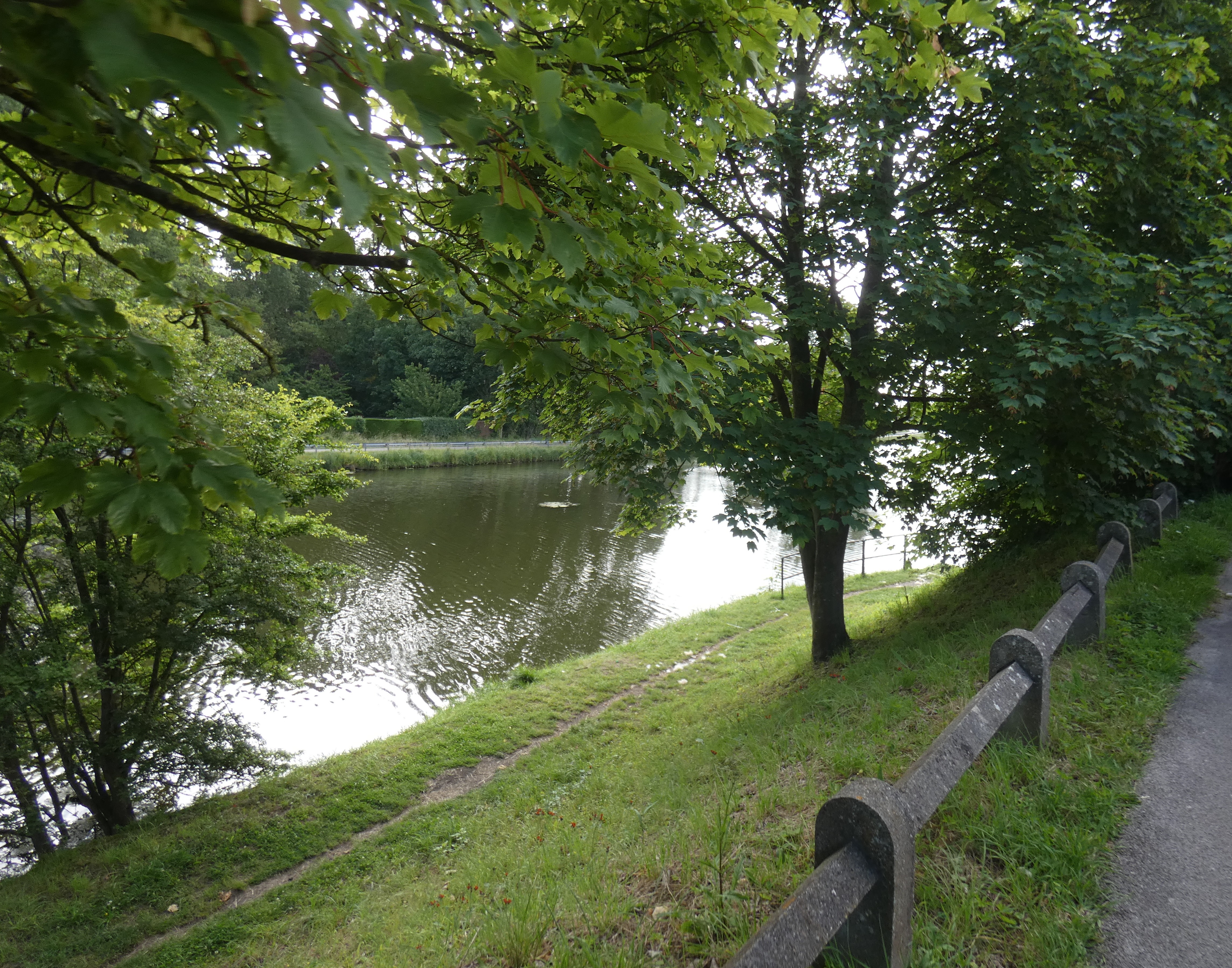 Image 57