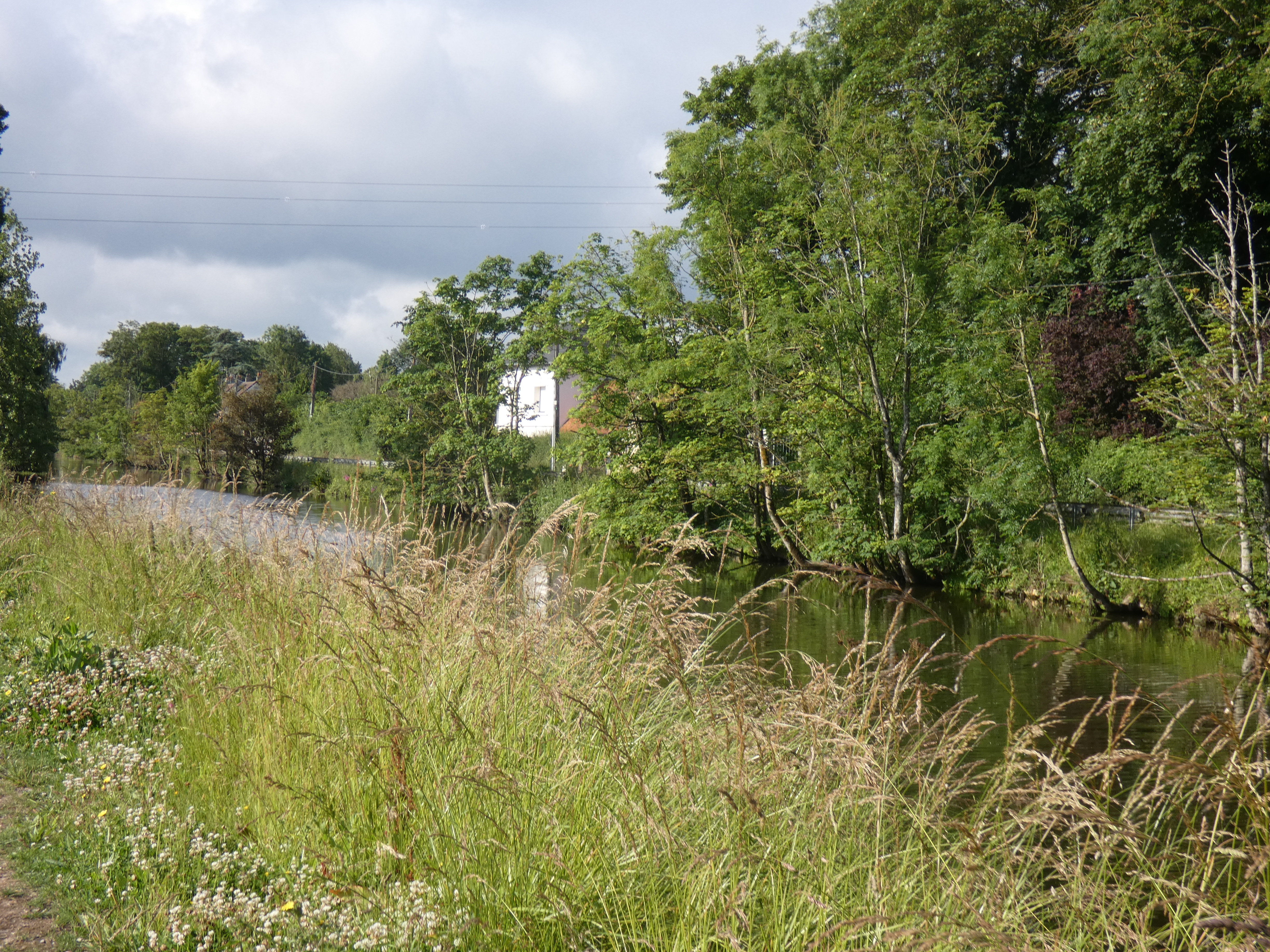 Image 42