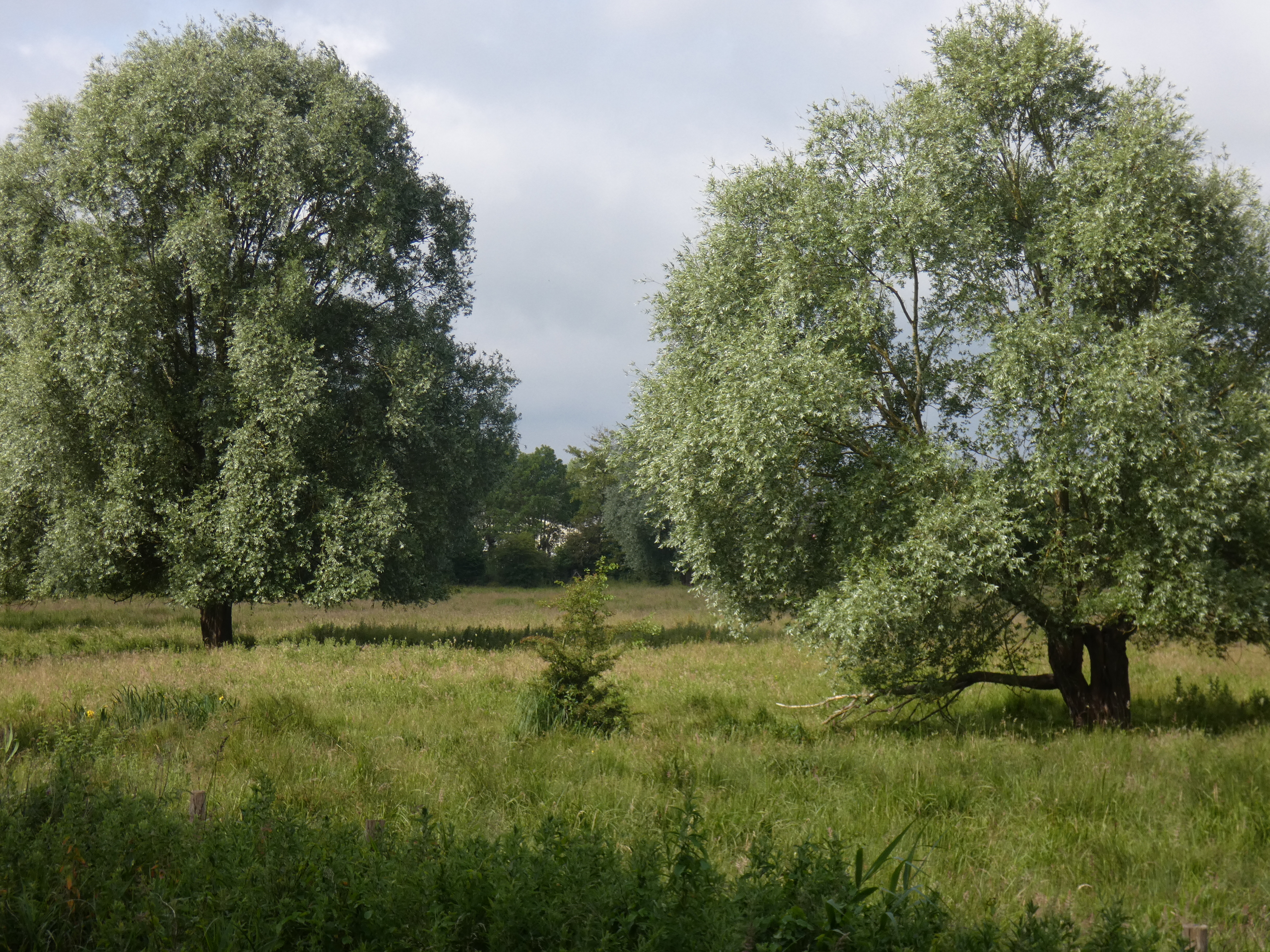 Image 84