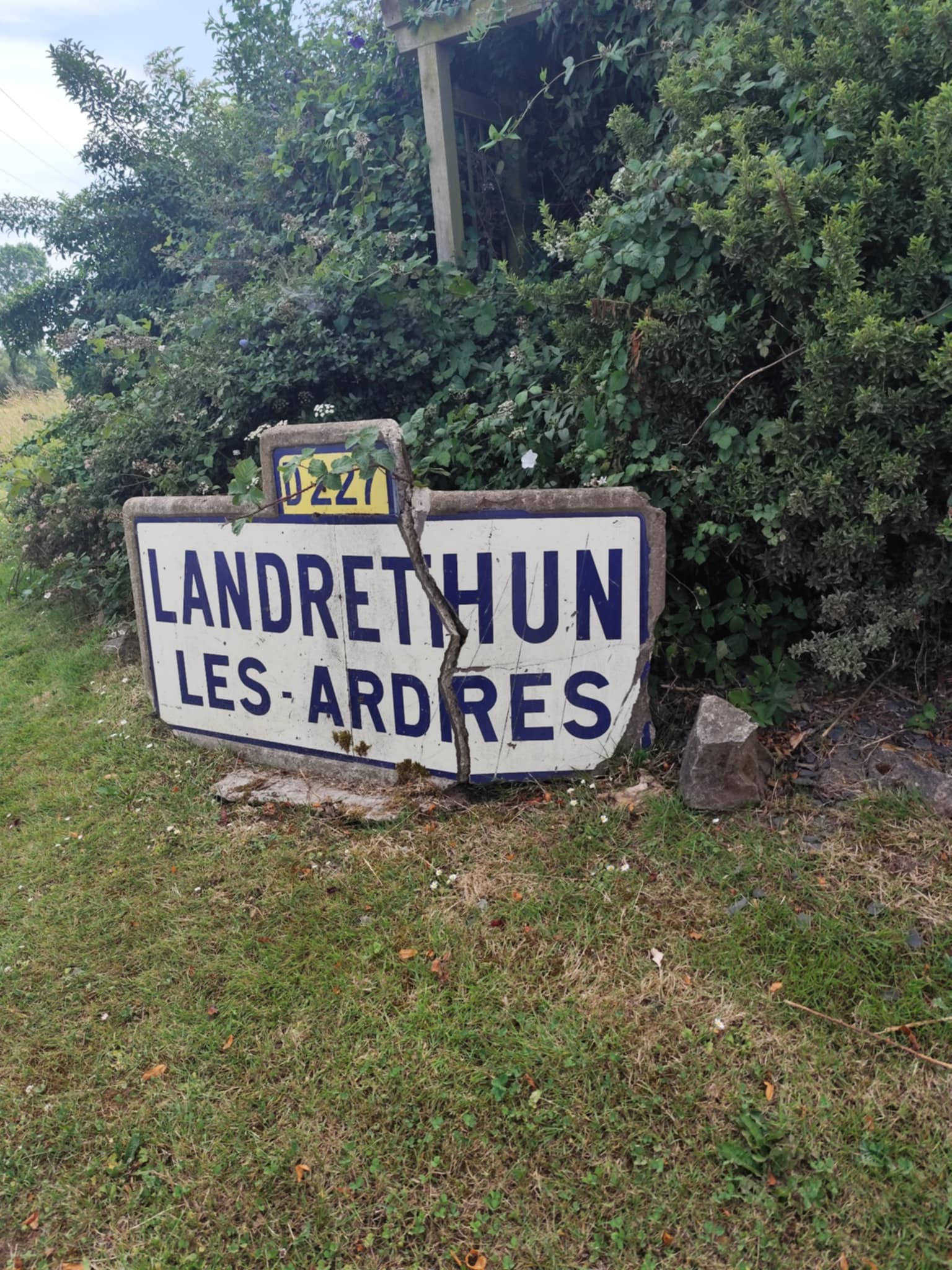 Image 79