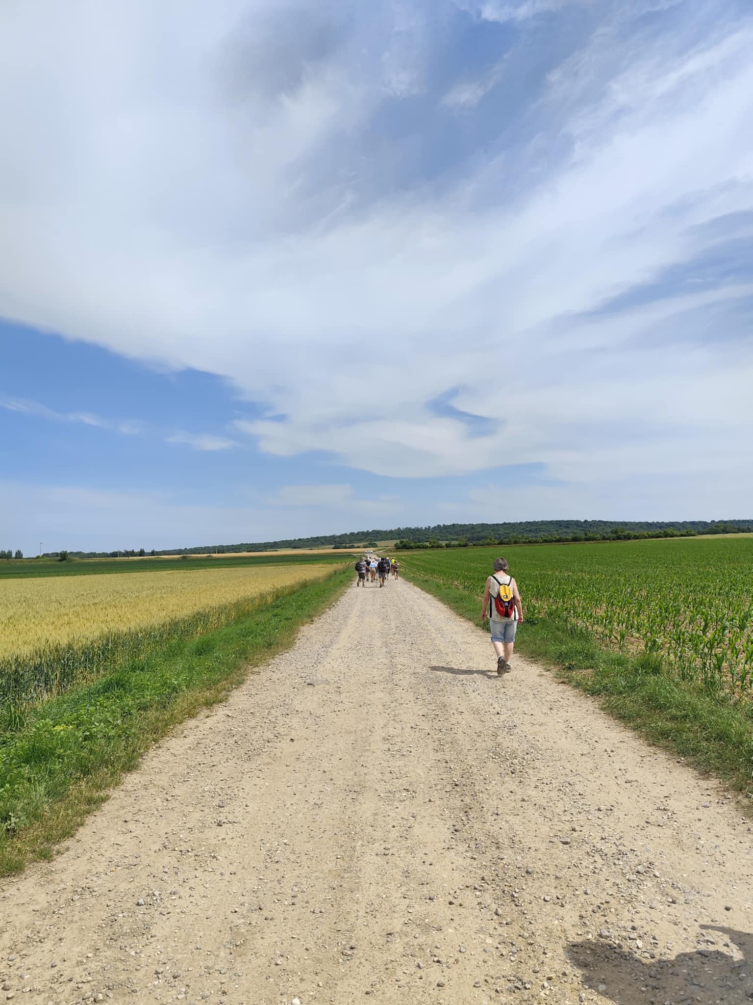 Image 29
