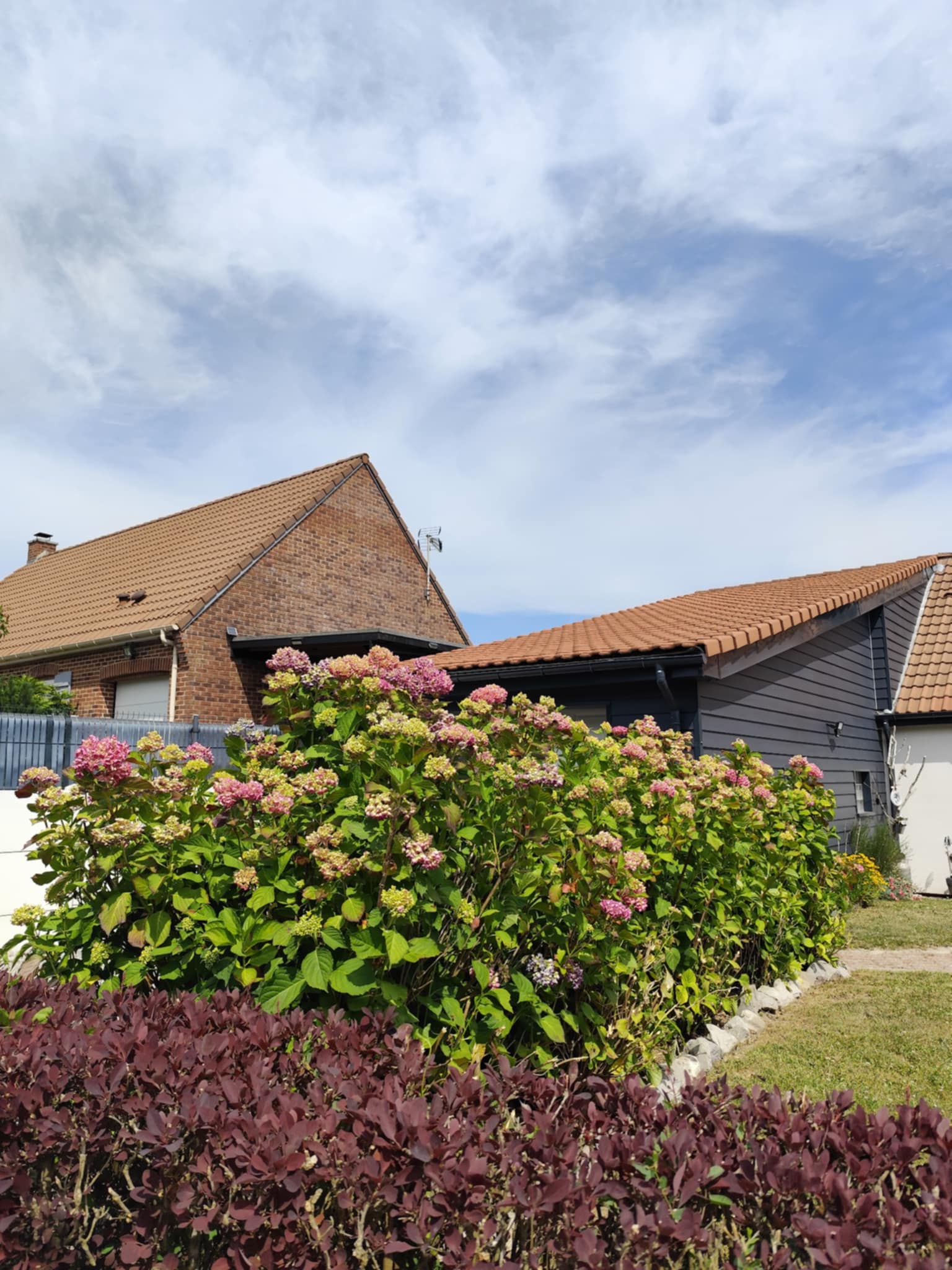 Image 21