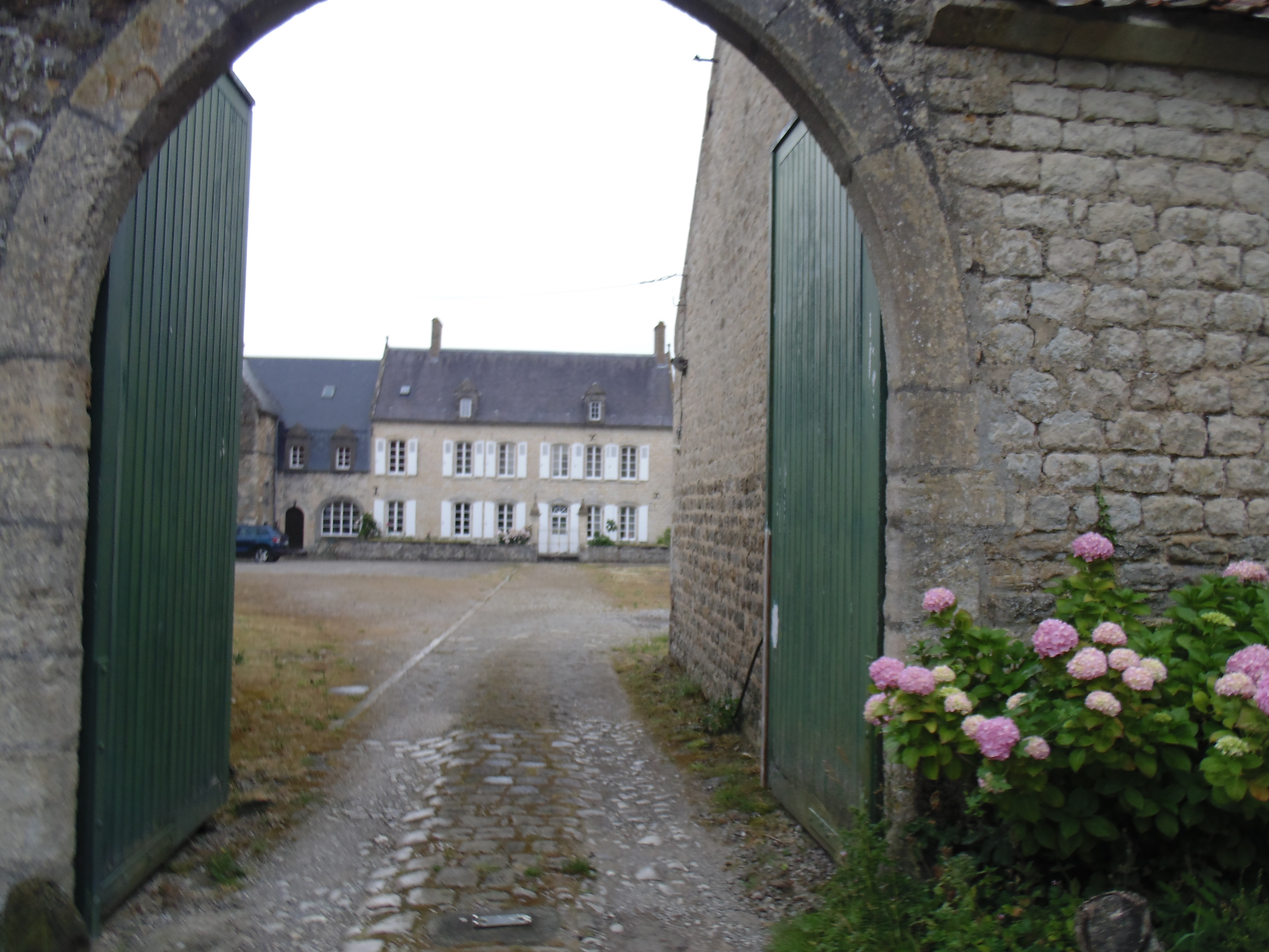 Image 61