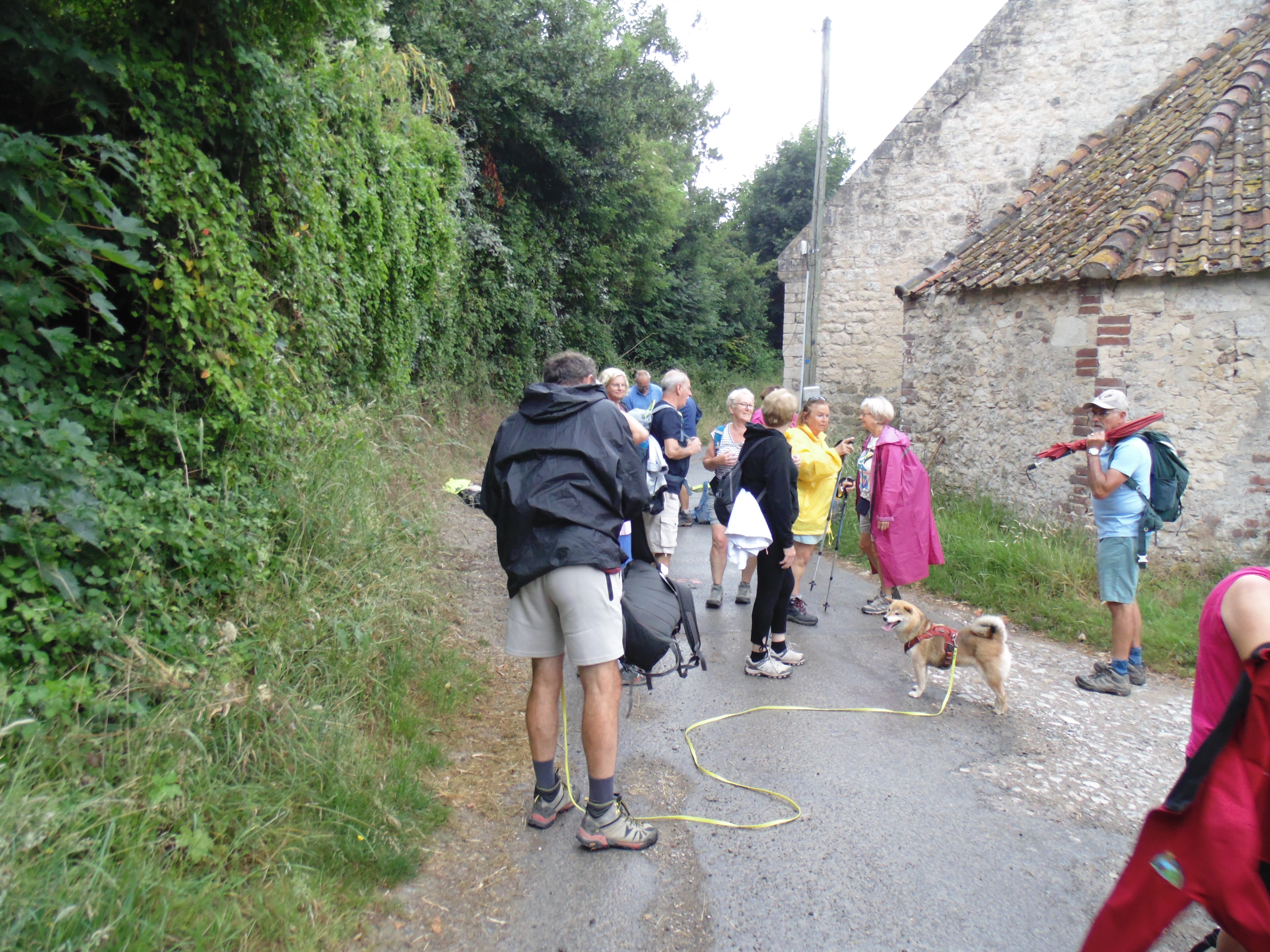 Image 91