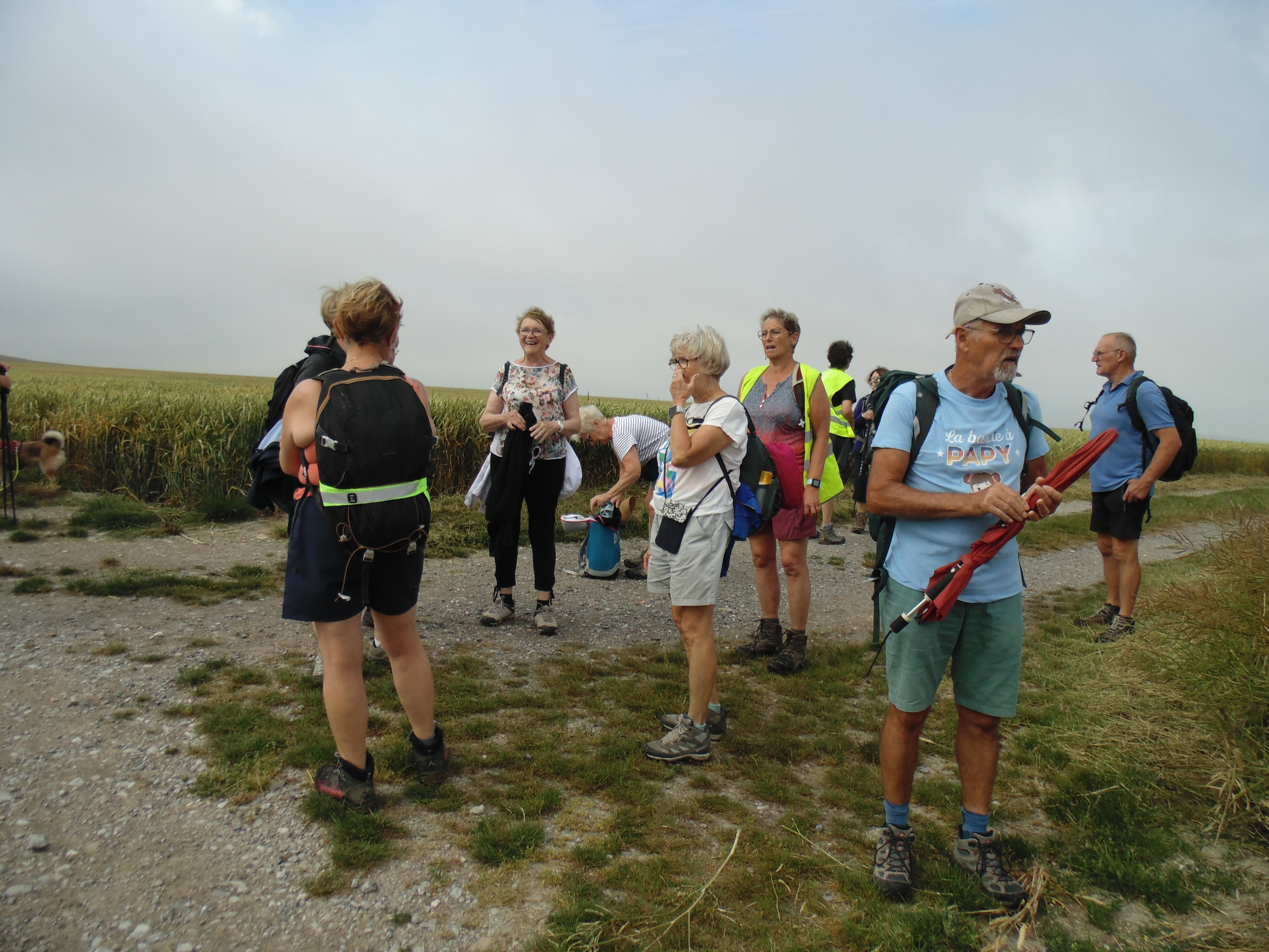 Image 74