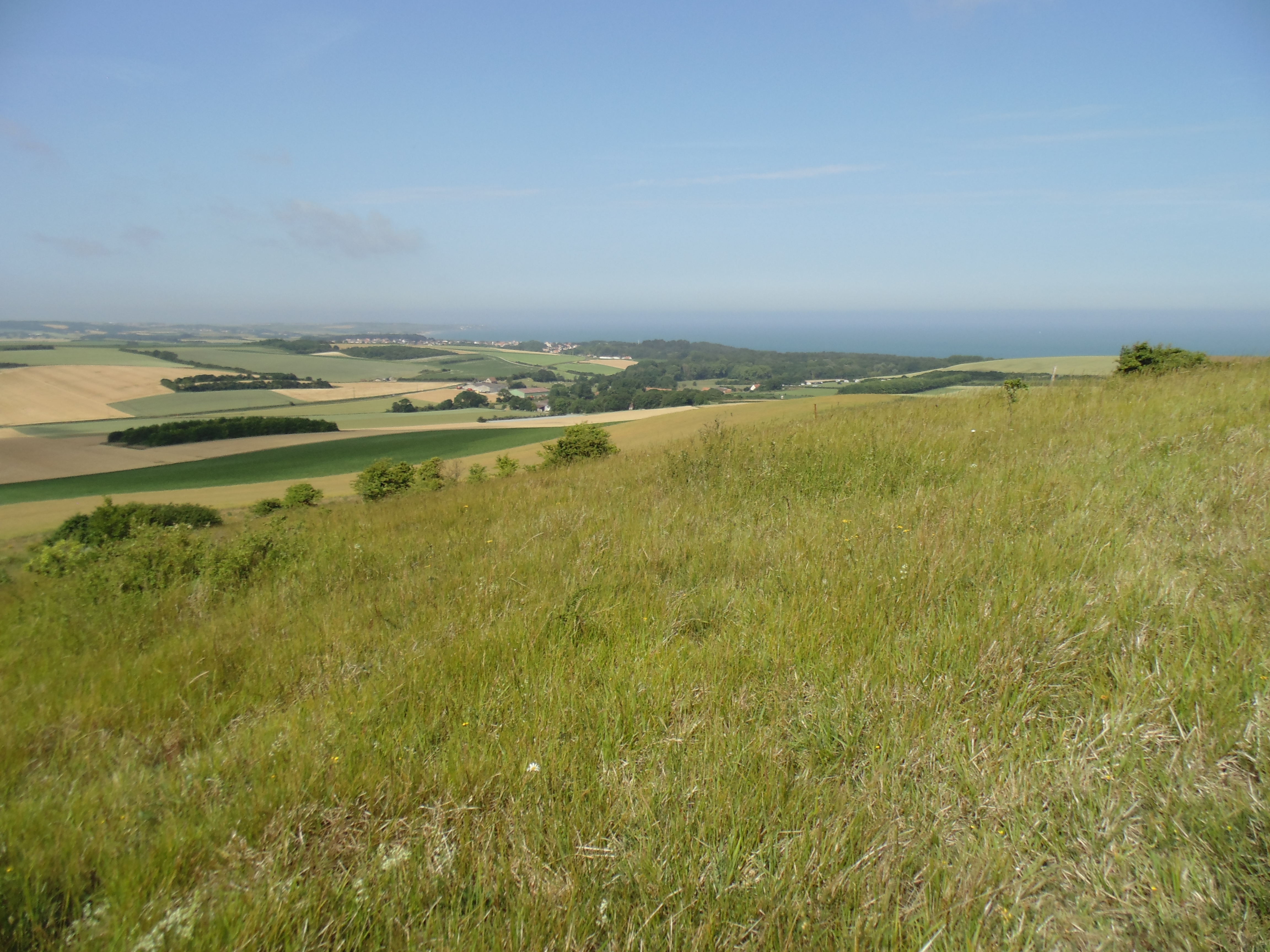 Image 100