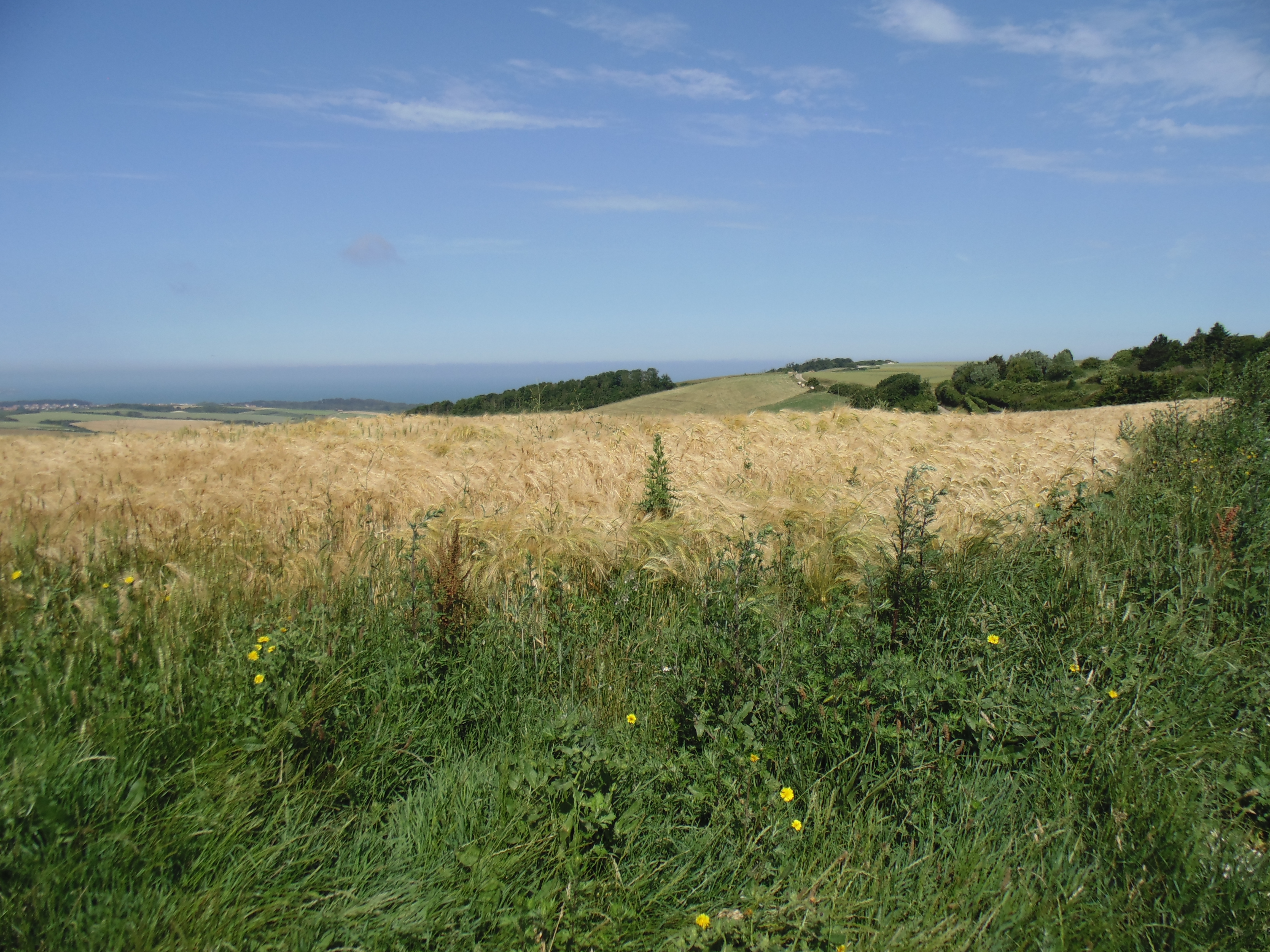 Image 70