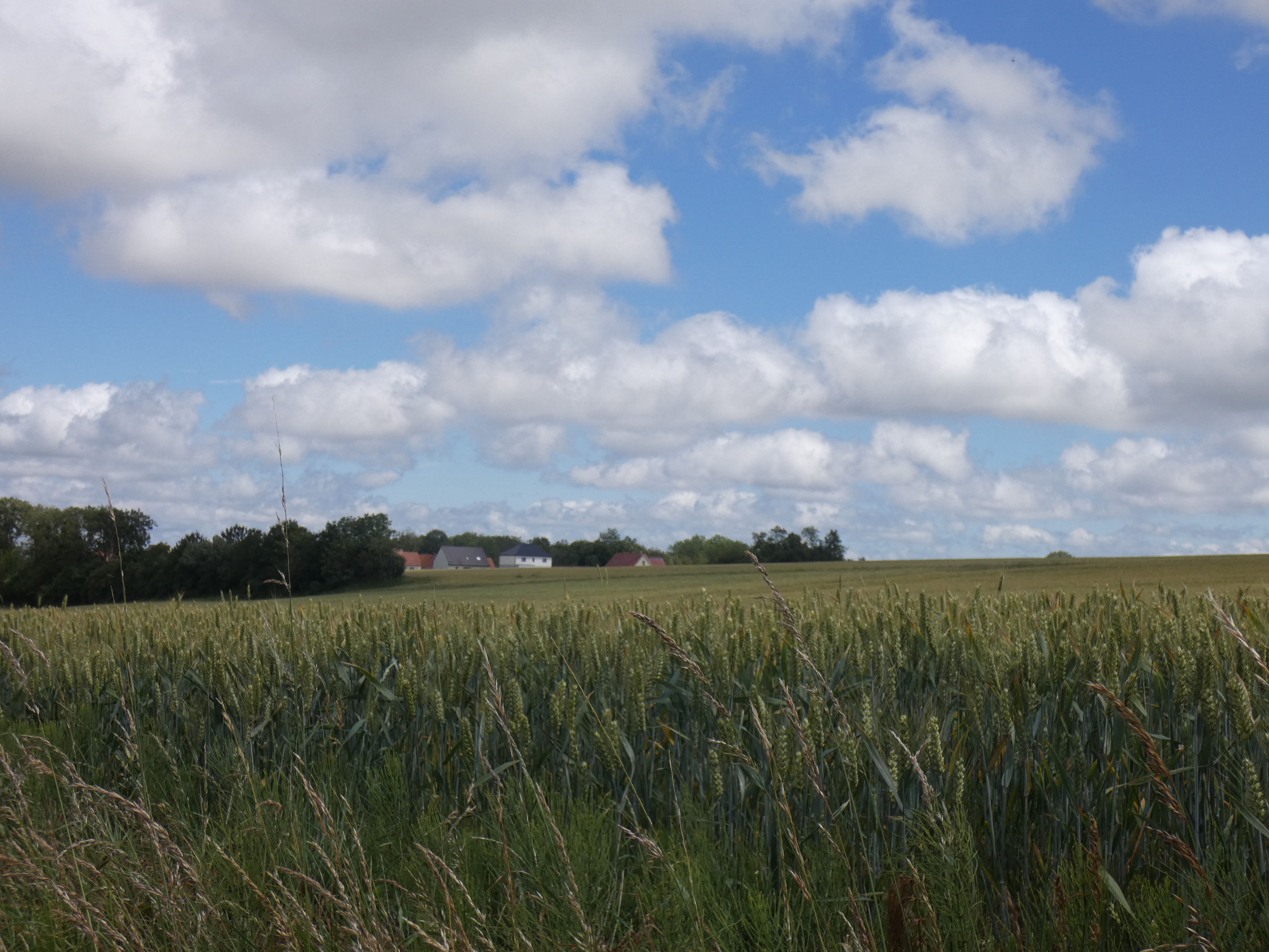 Image 27