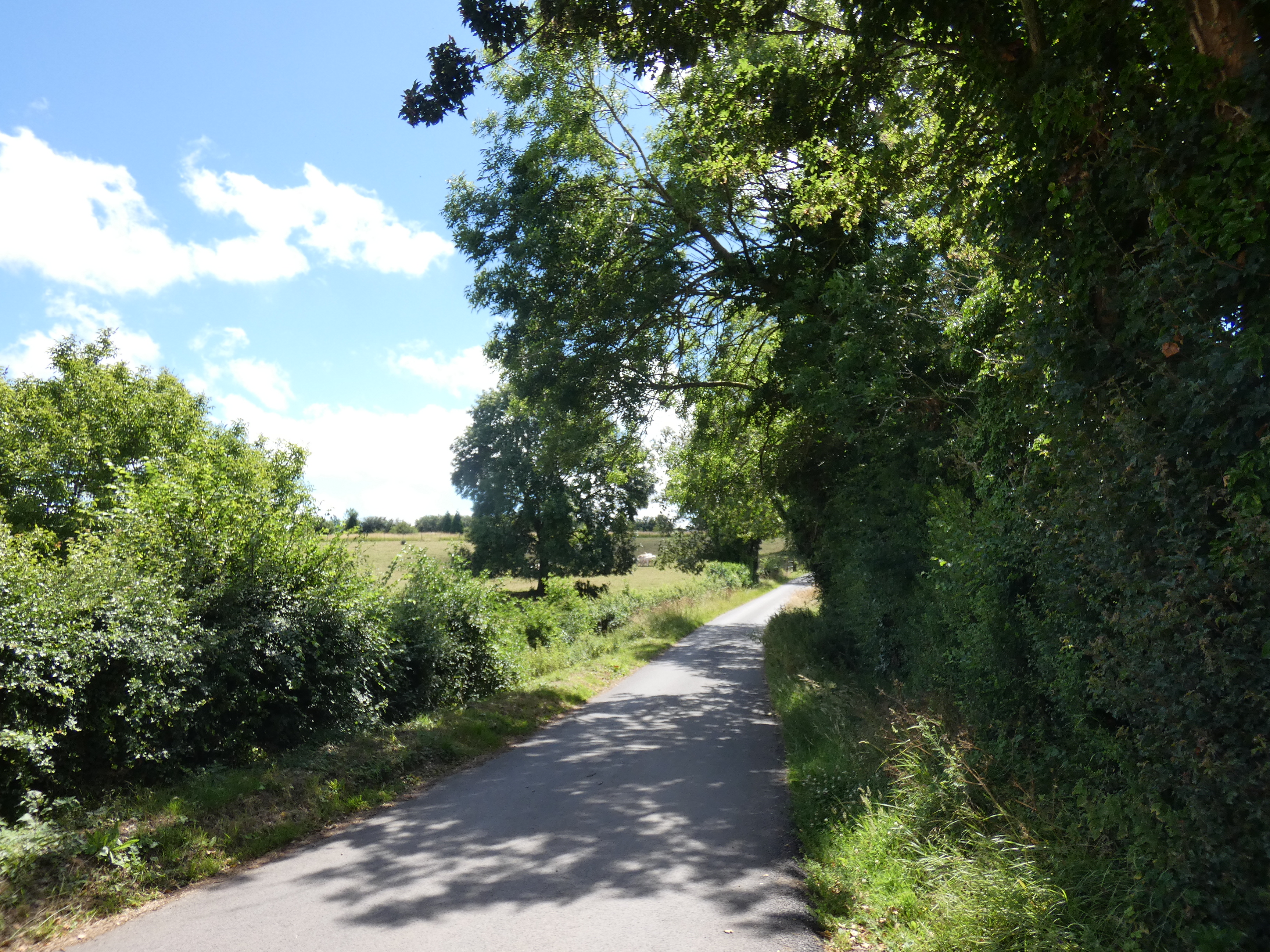 Image 16