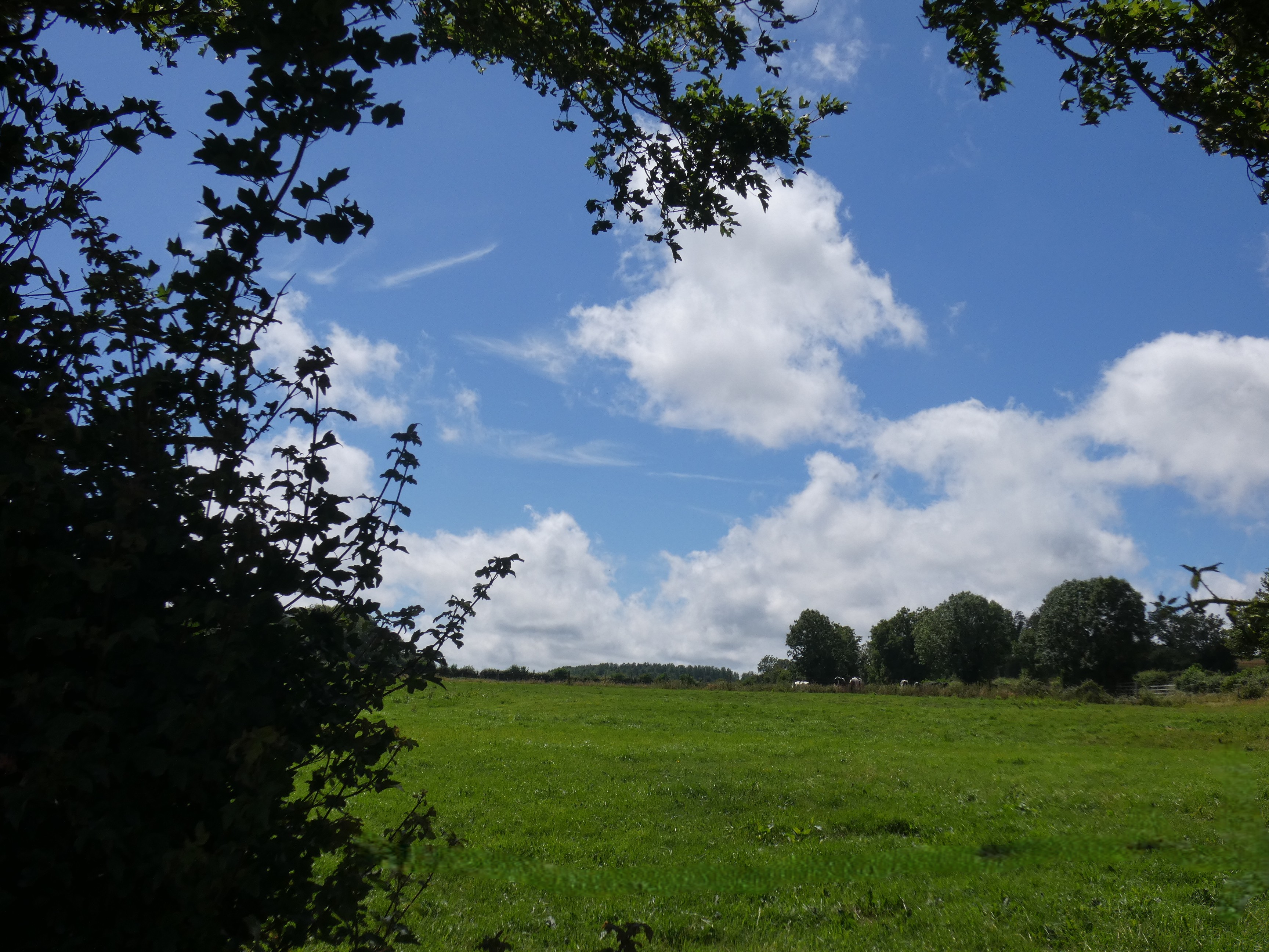 Image 98