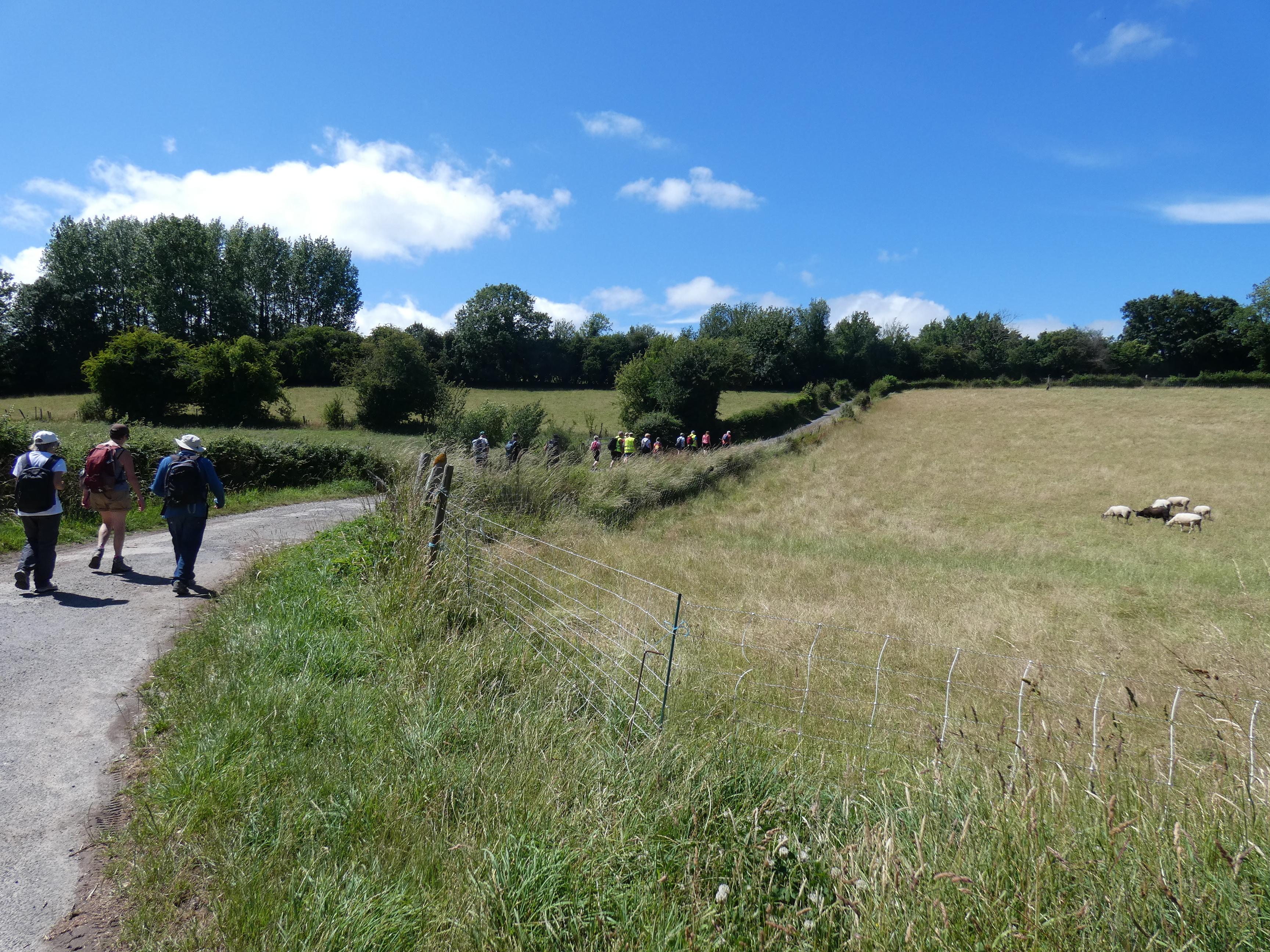 Image 80