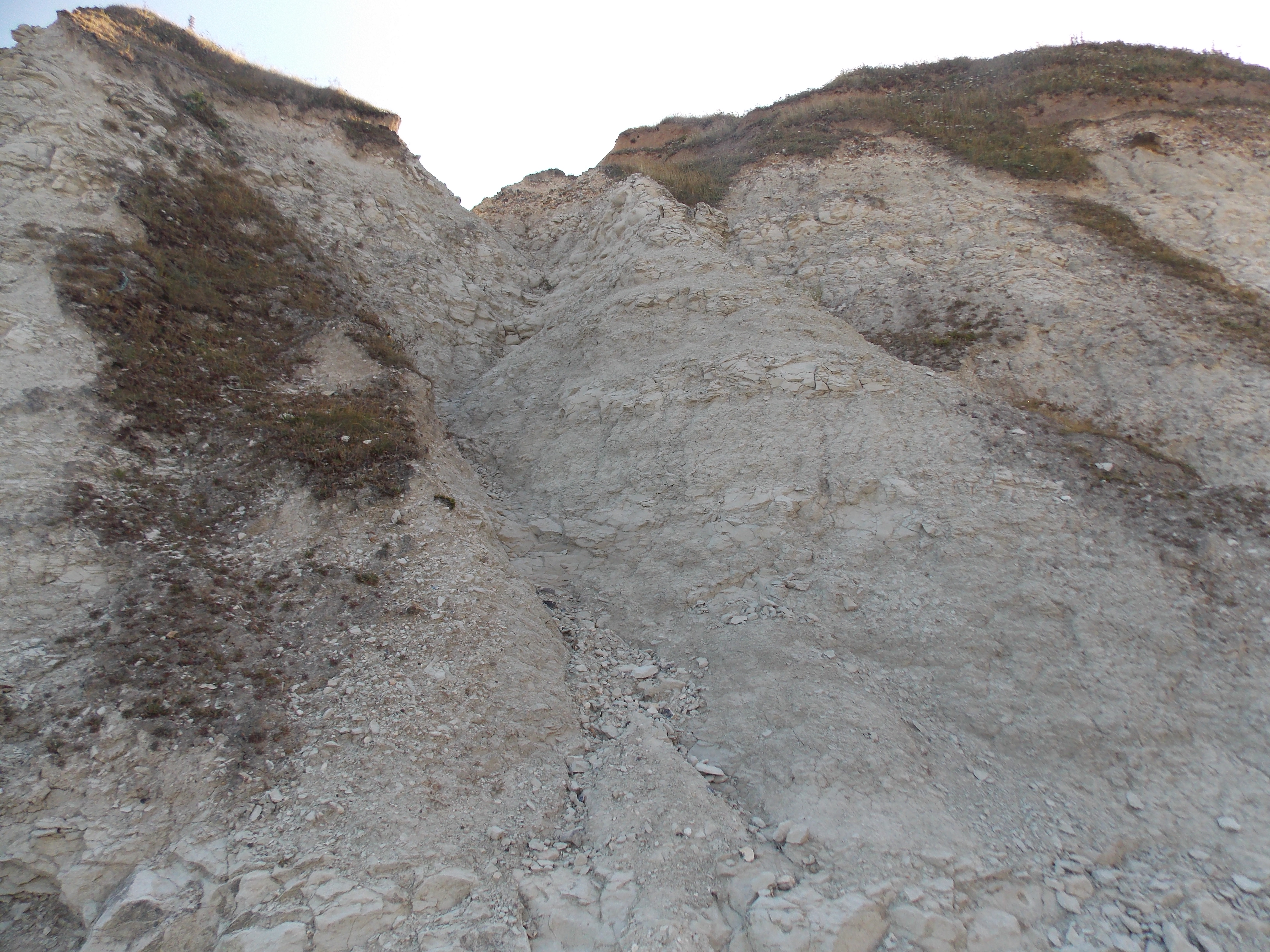 Image 38