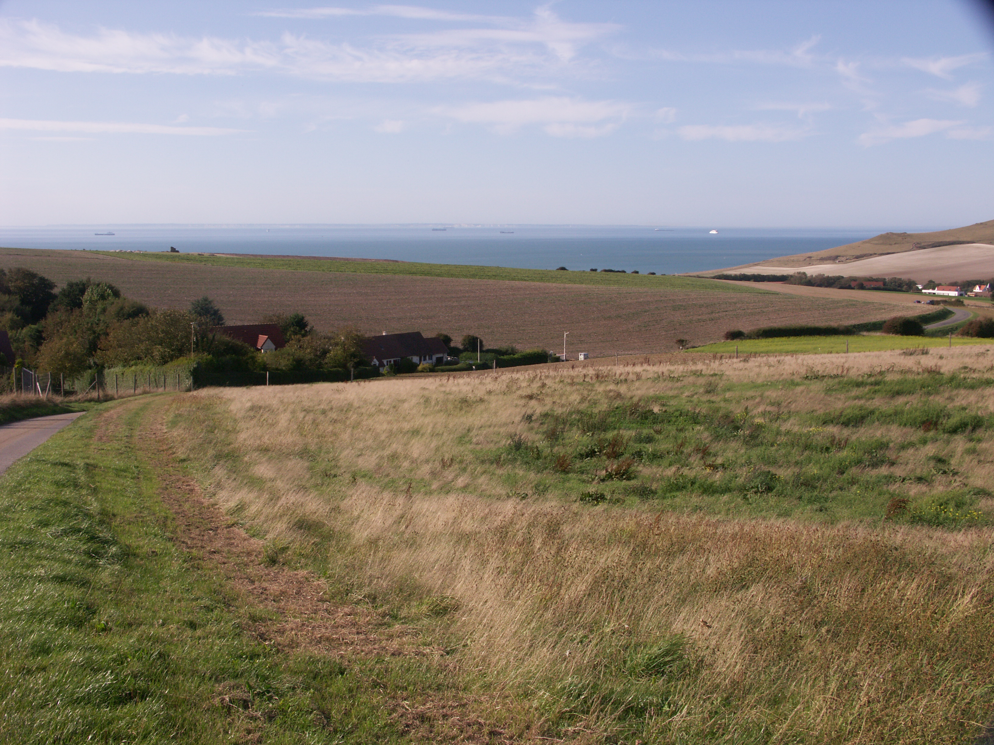 Image 40