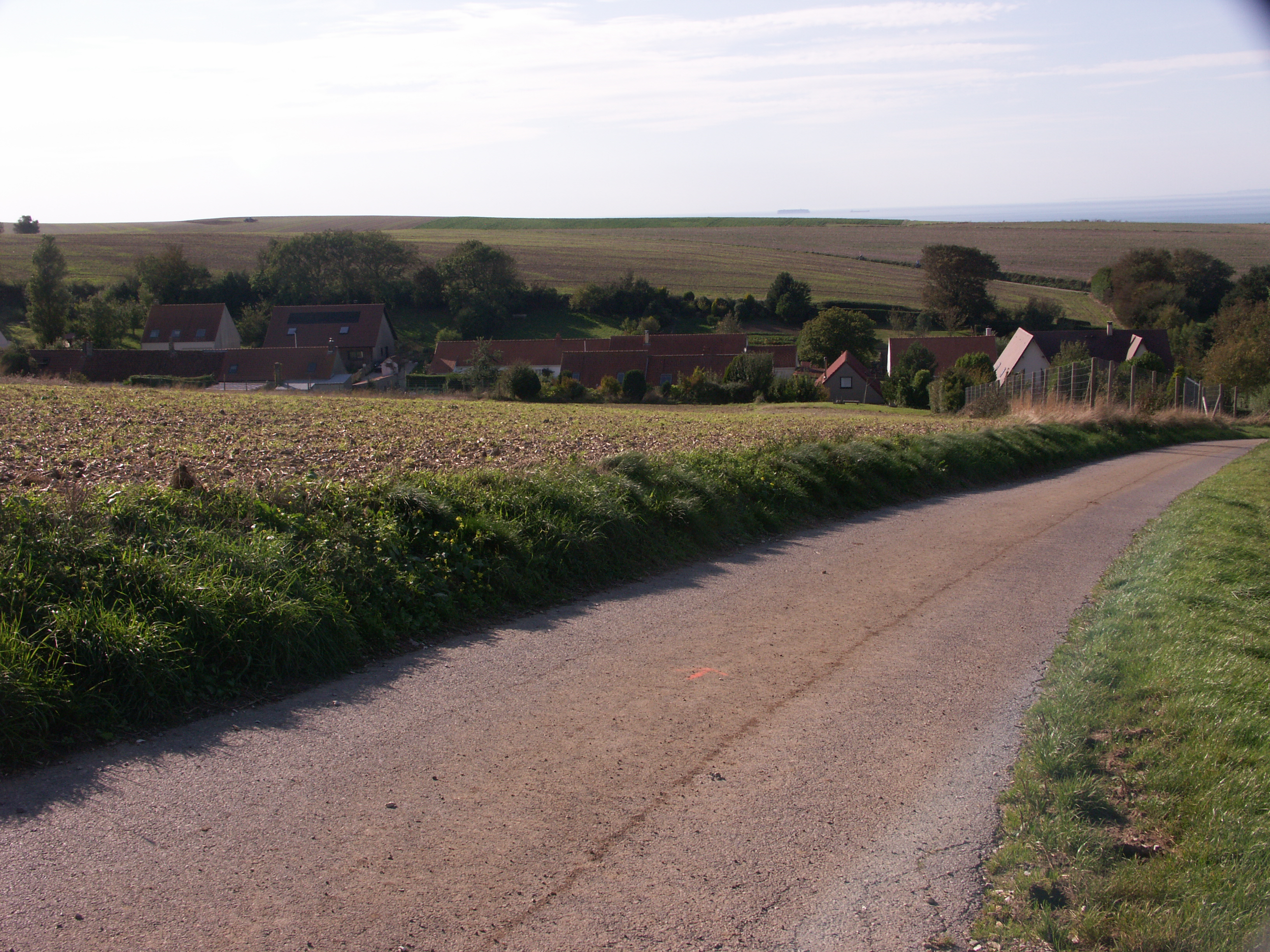 Image 19