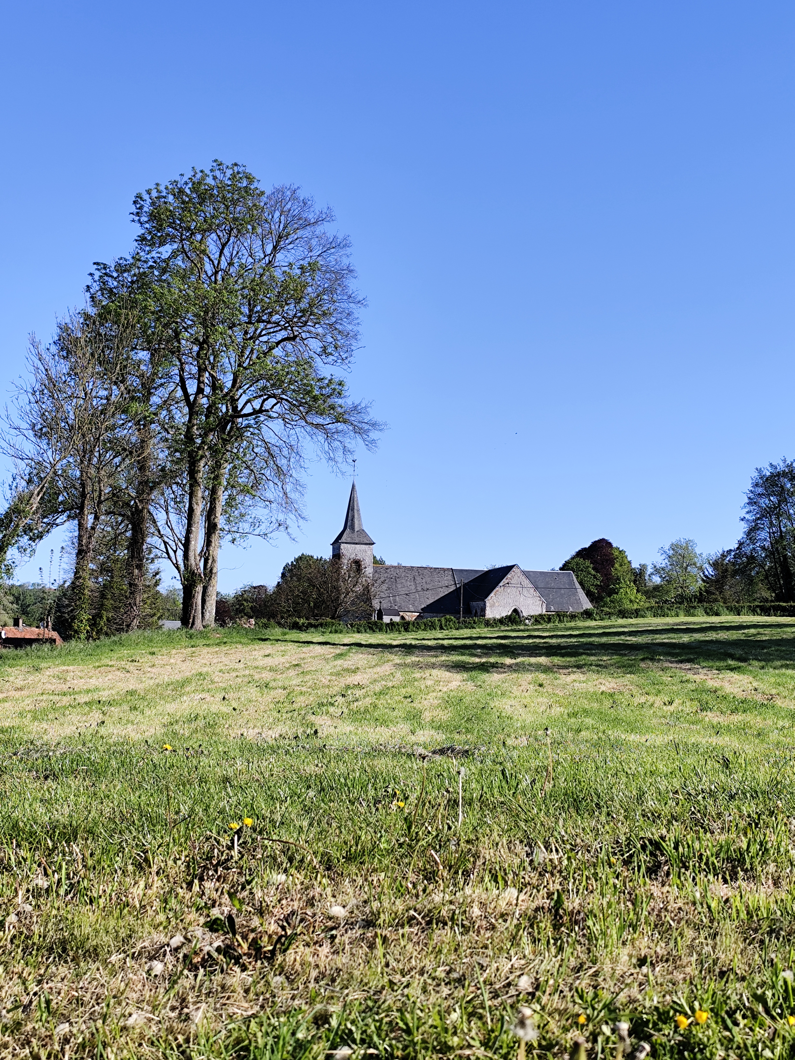 Image 135