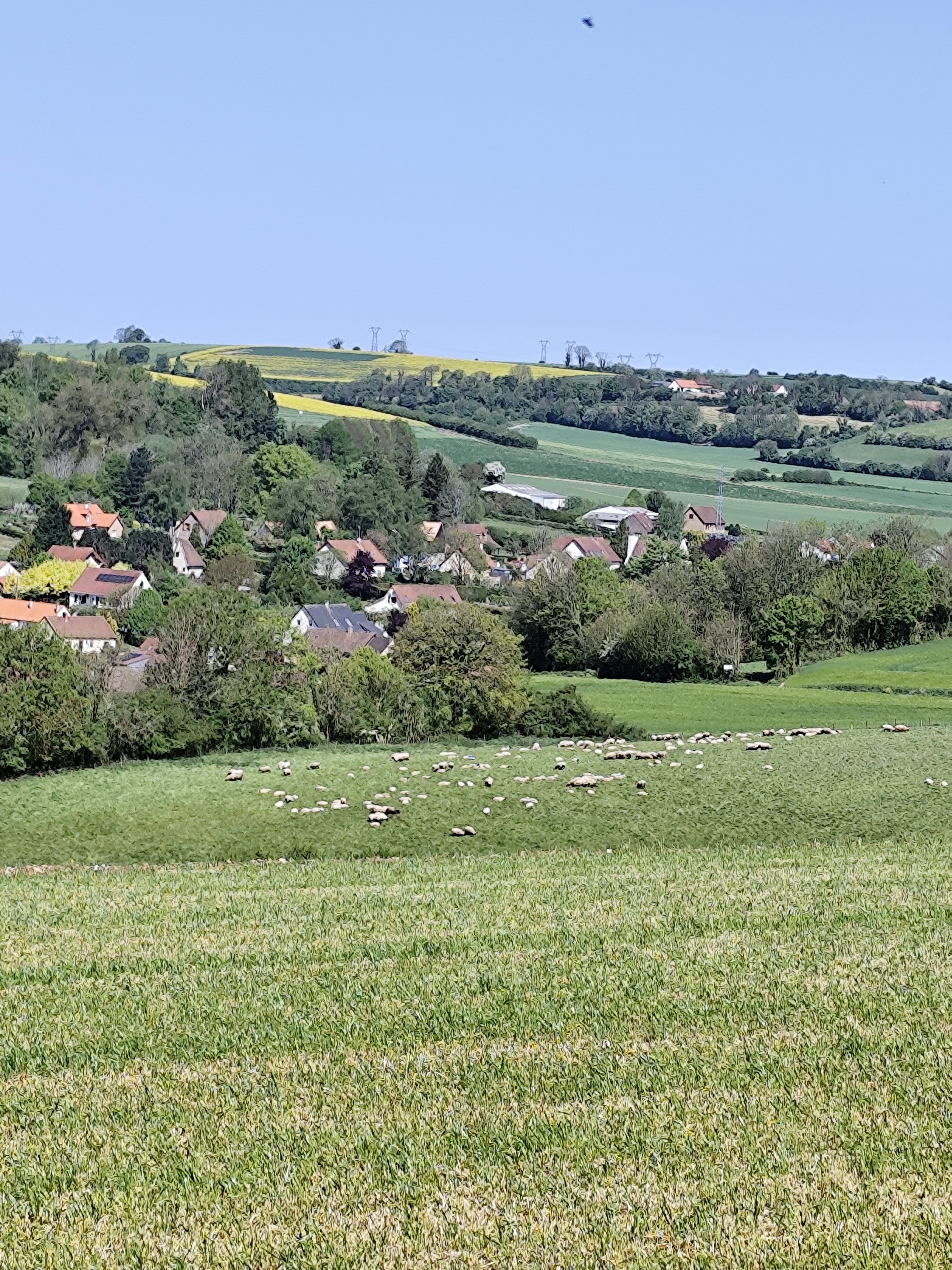 Image 69