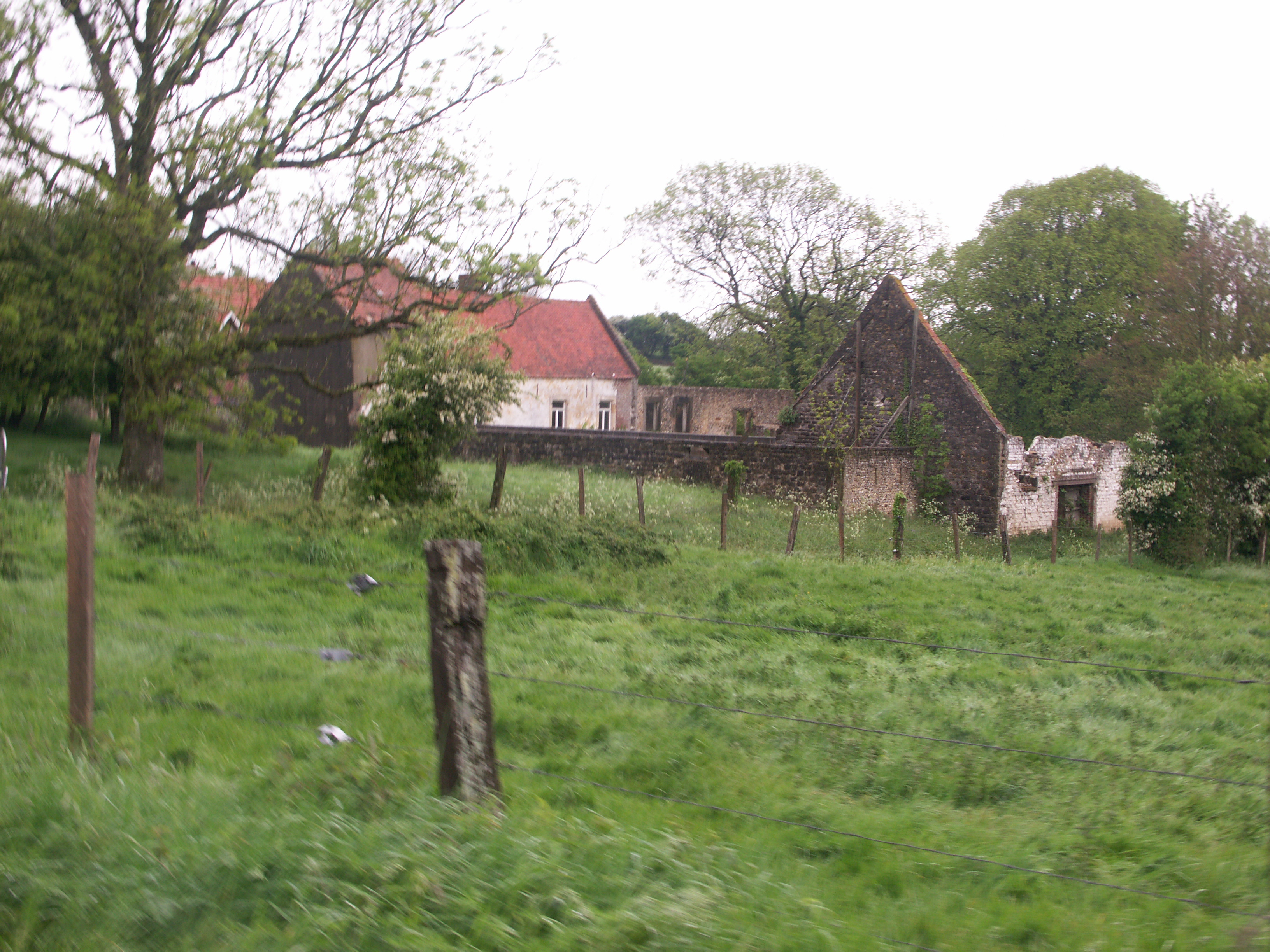 Image 310