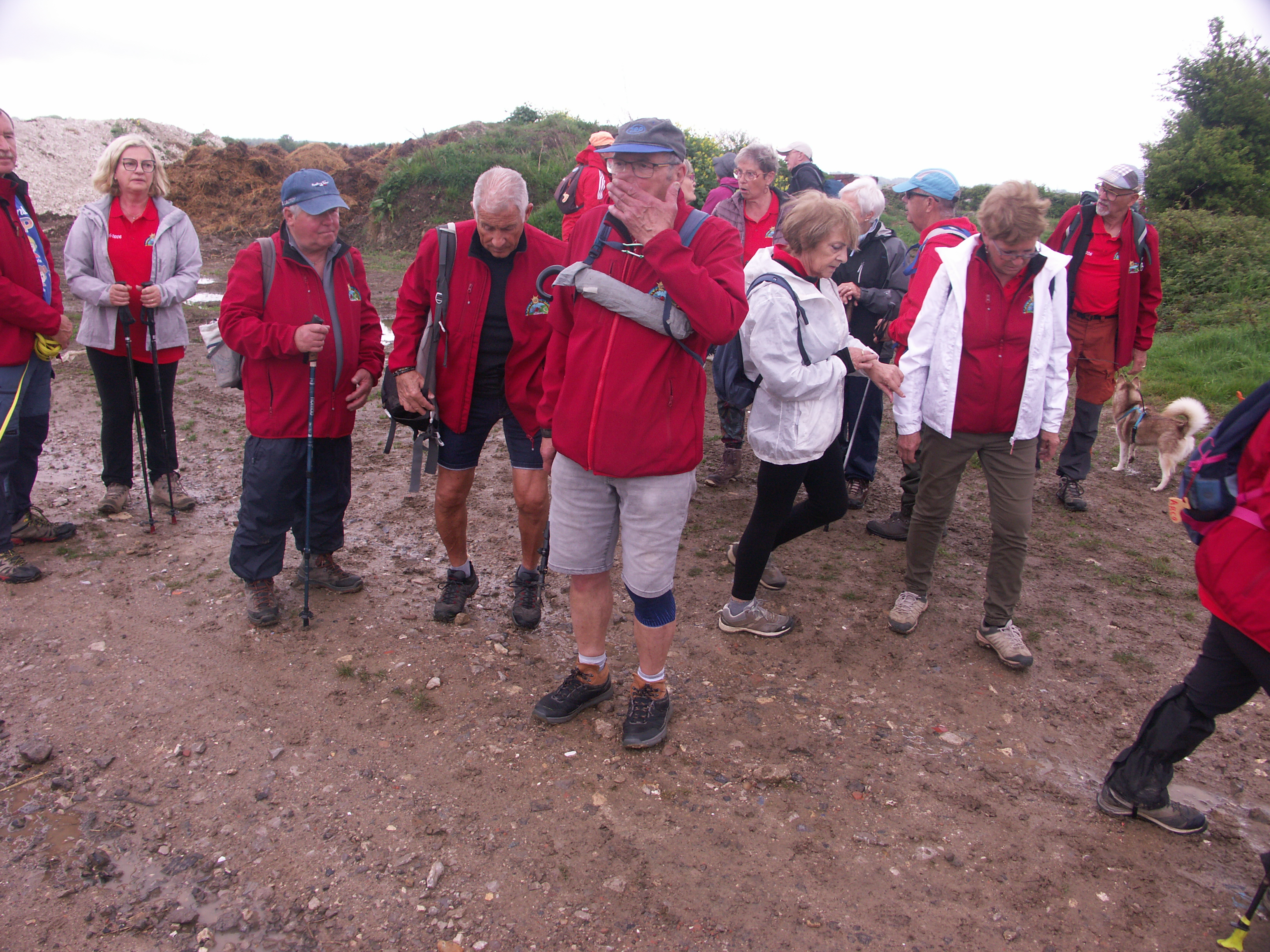 Image 115