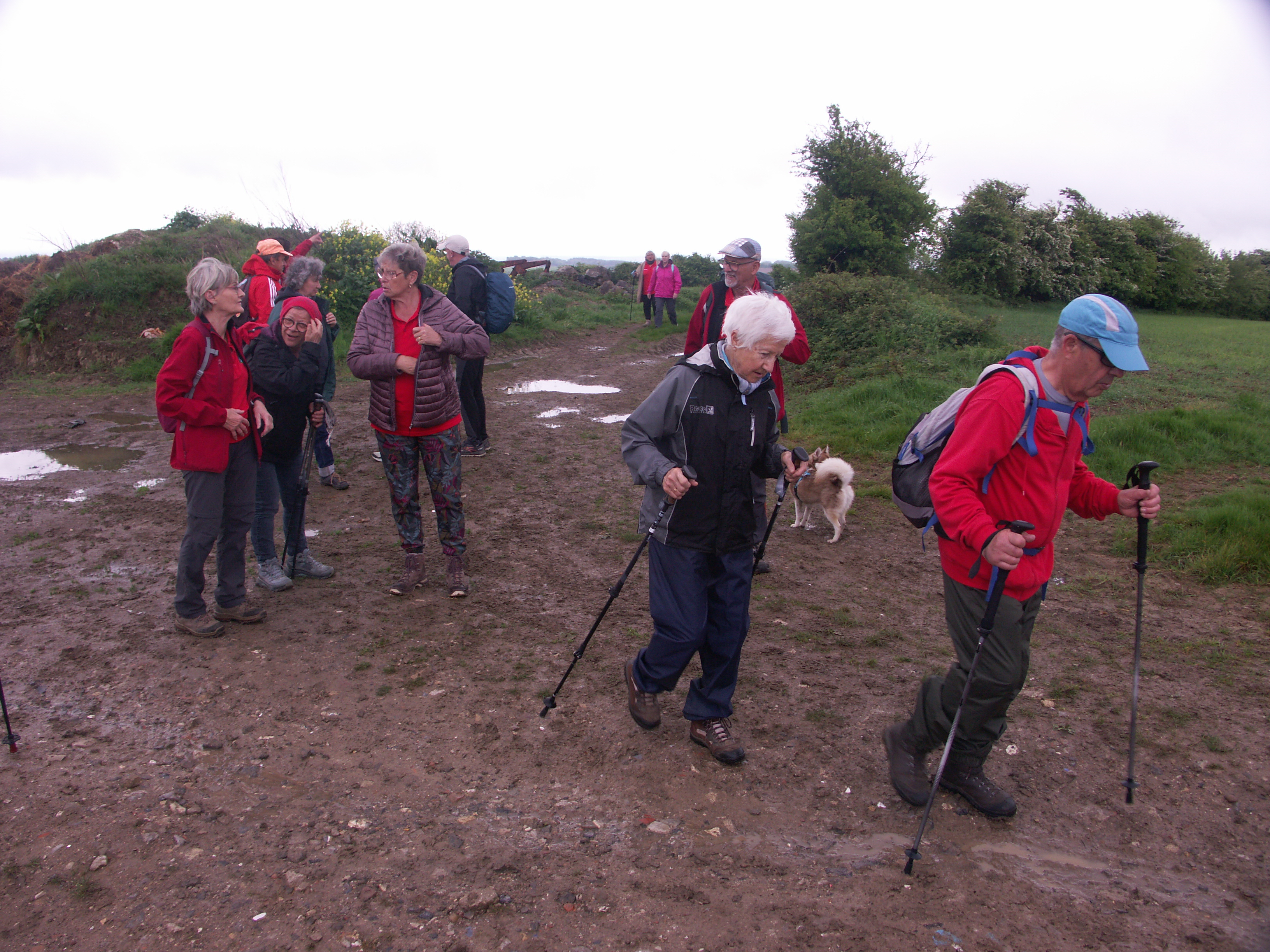 Image 185