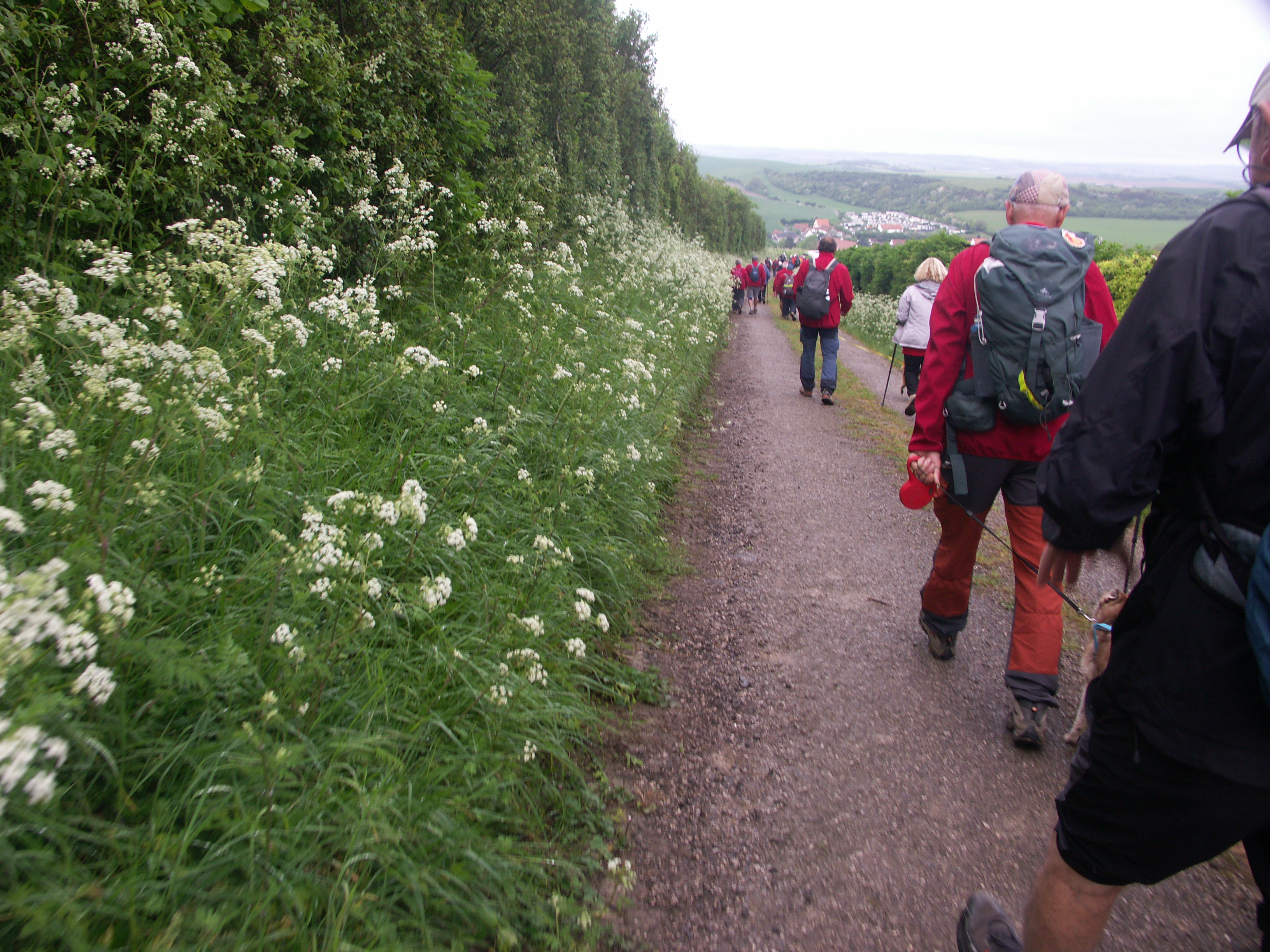 Image 143