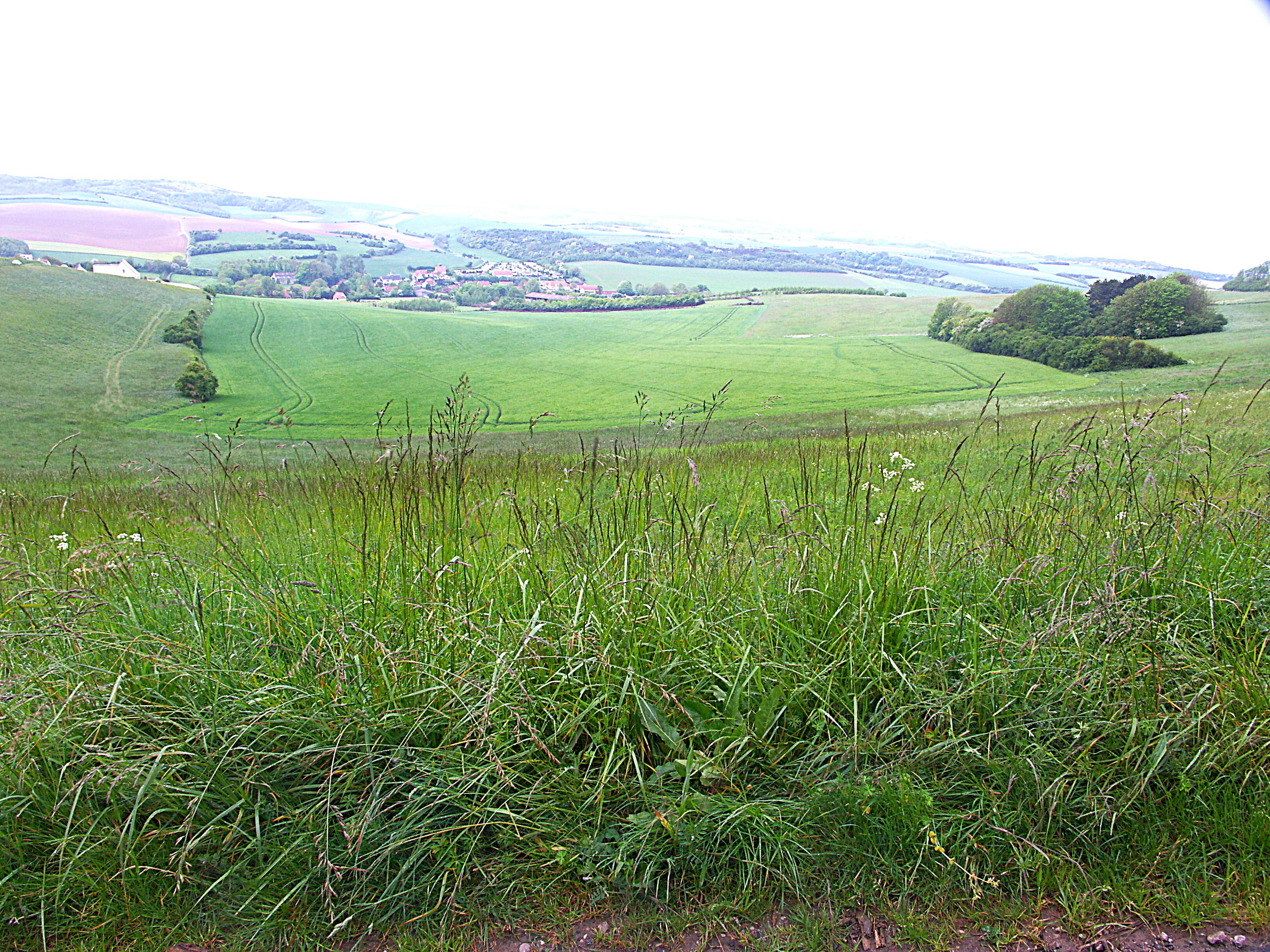 Image 106