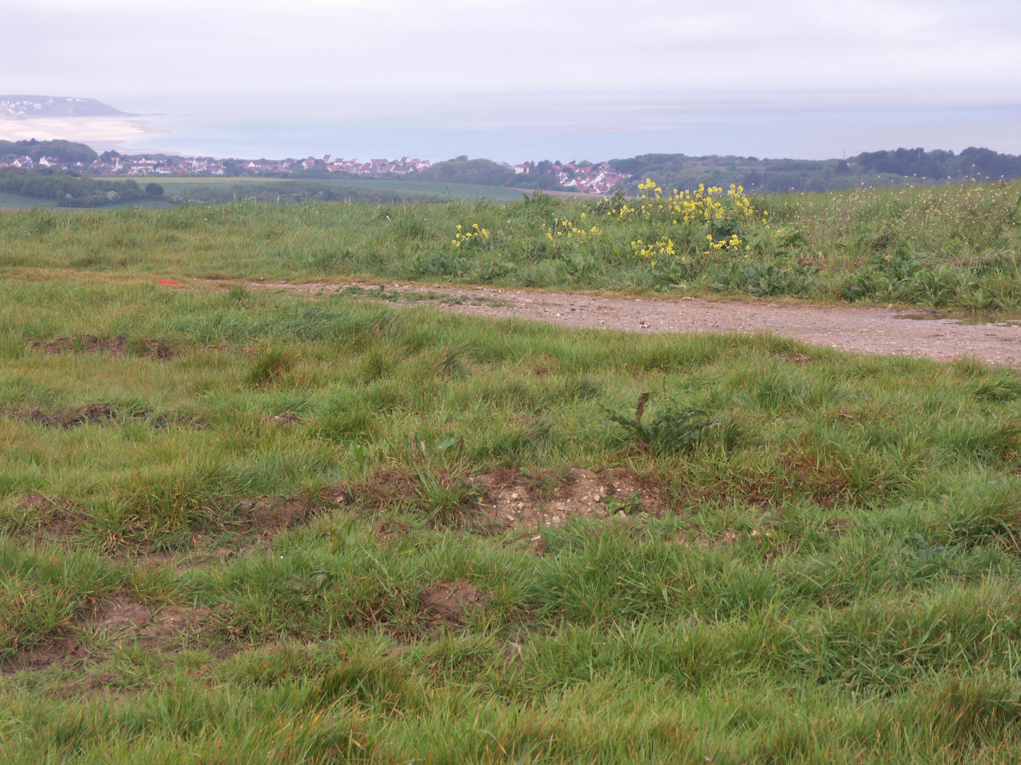 Image 127