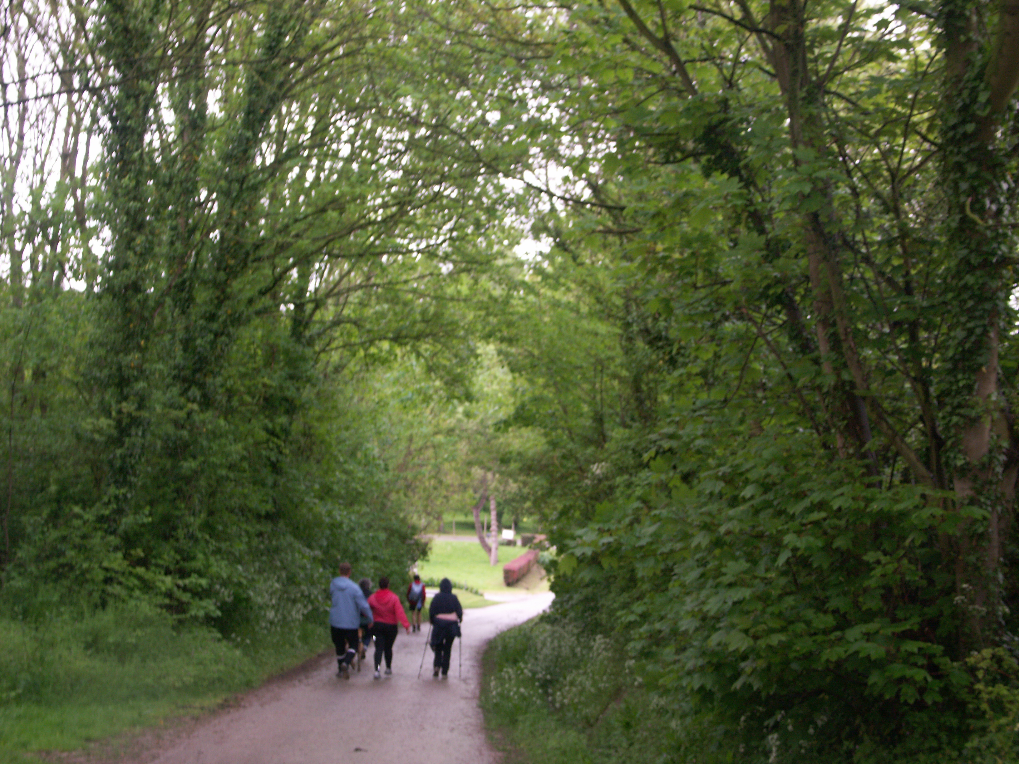 Image 14