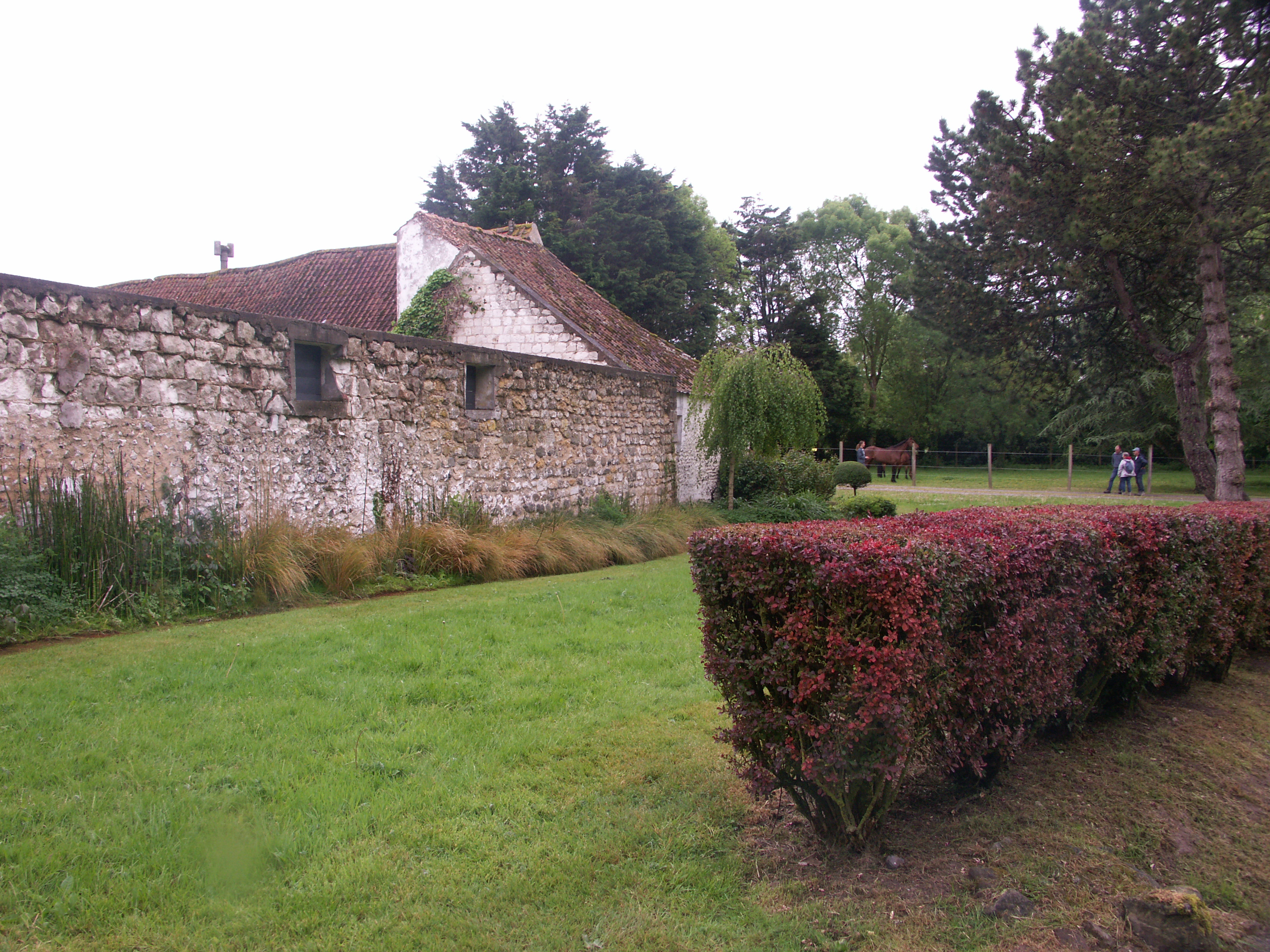 Image 300