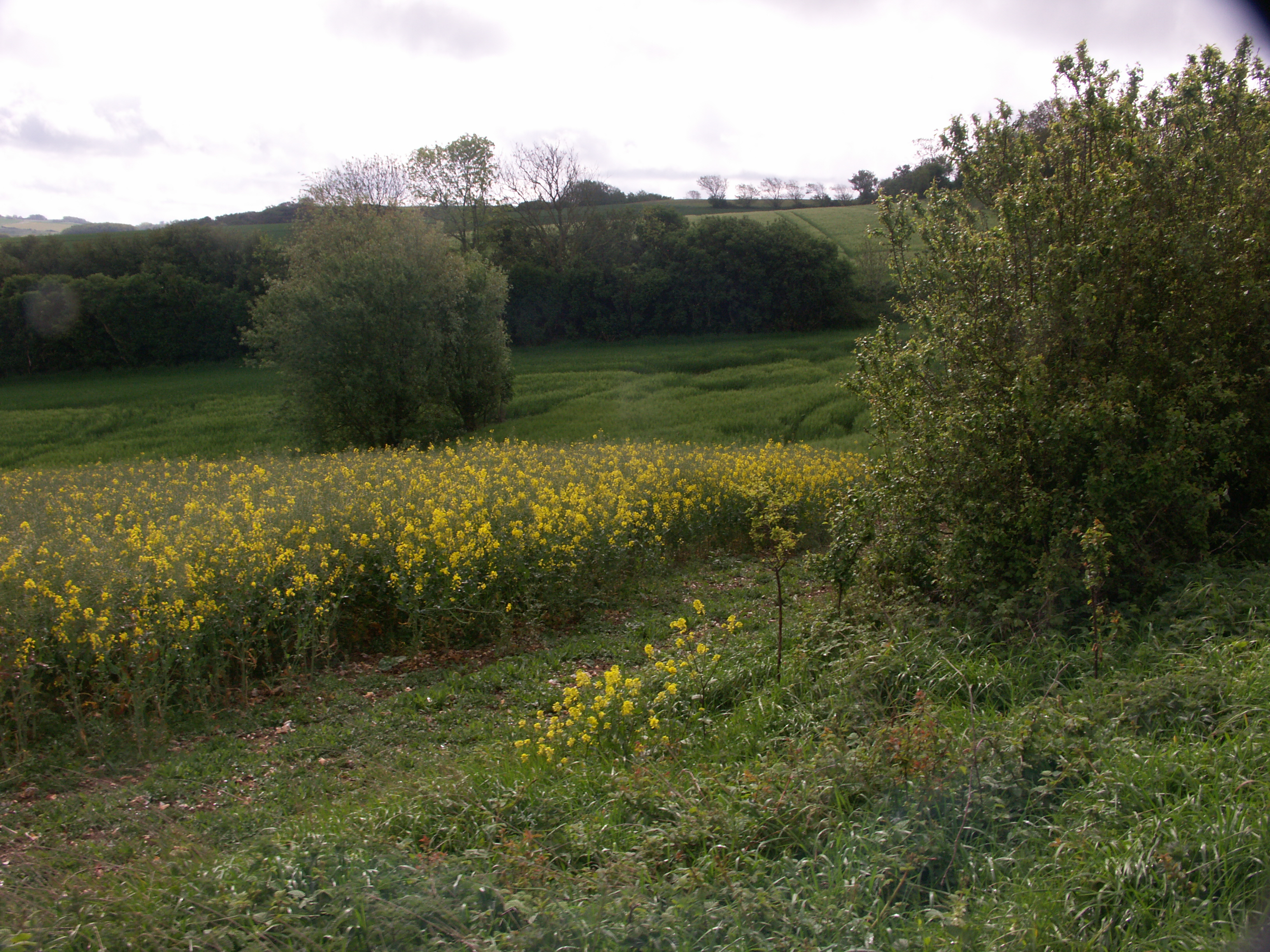 Image 74