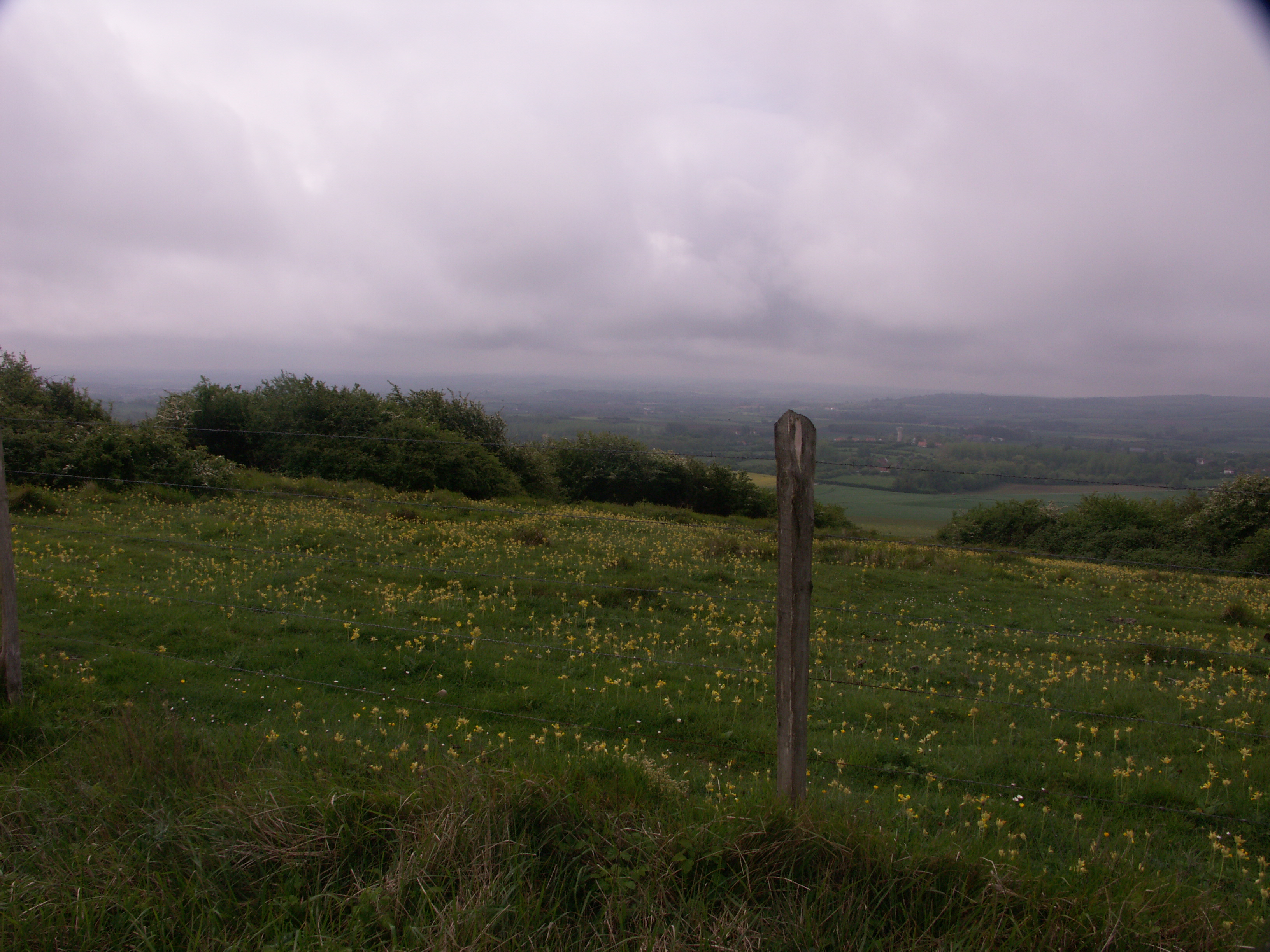 Image 210