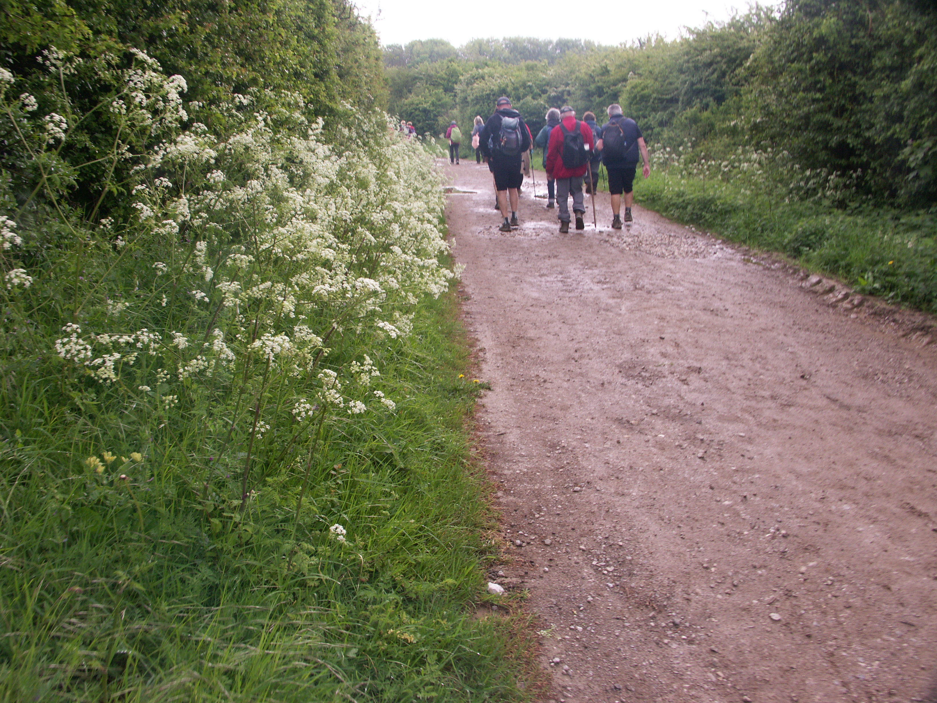 Image 200