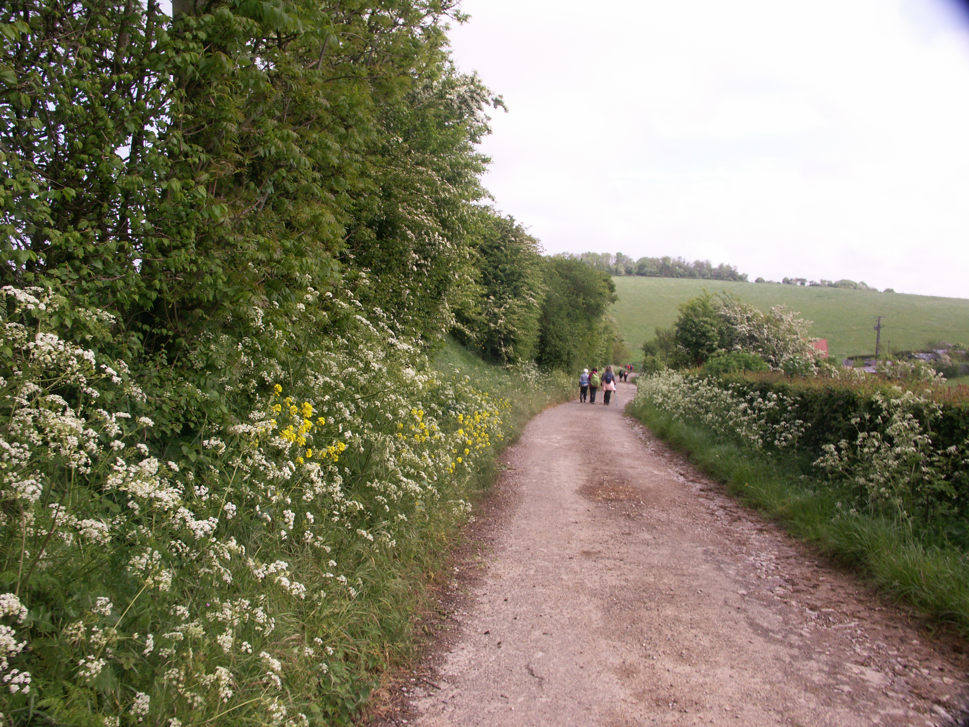 Image 119
