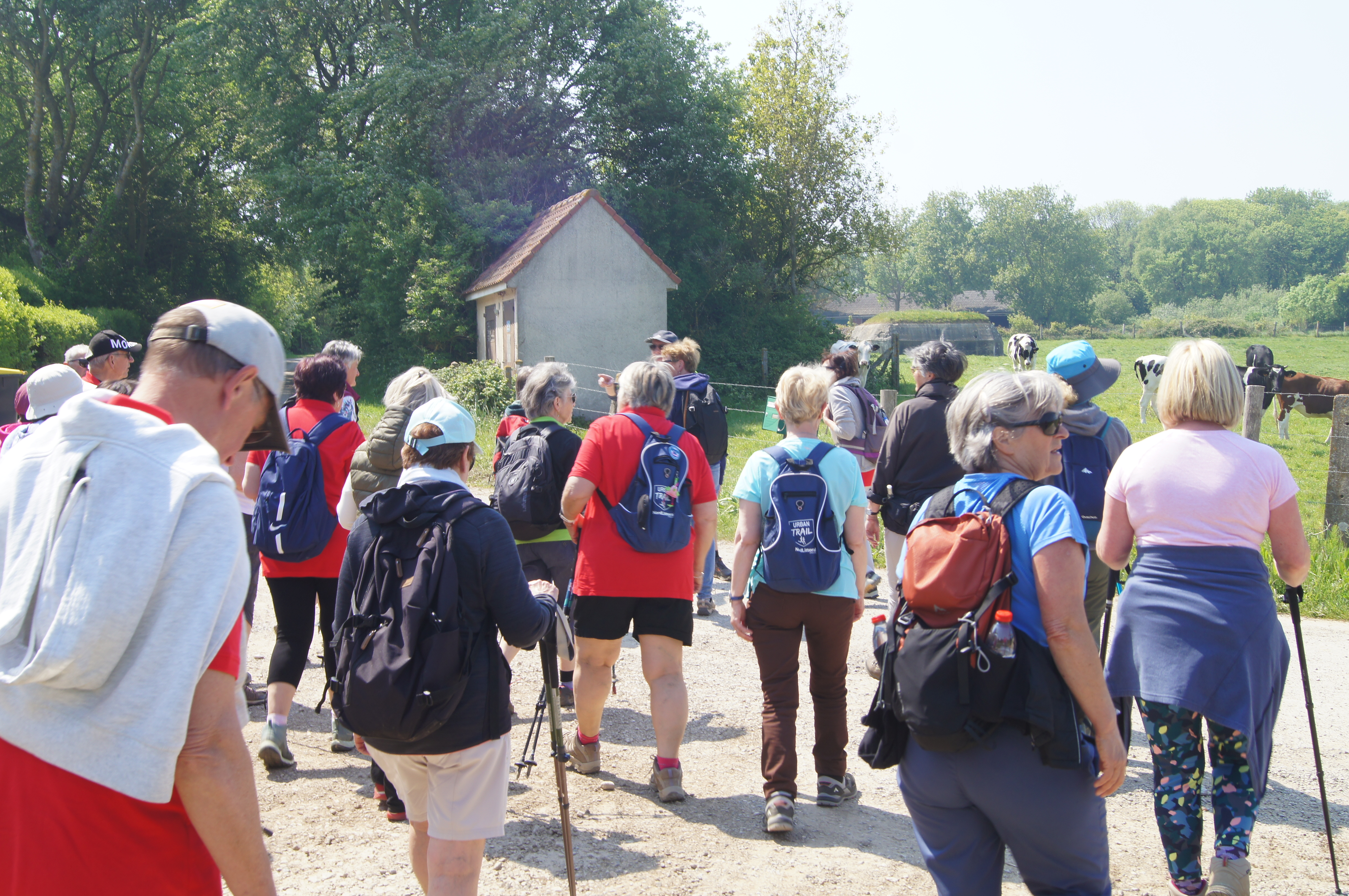 Image 287
