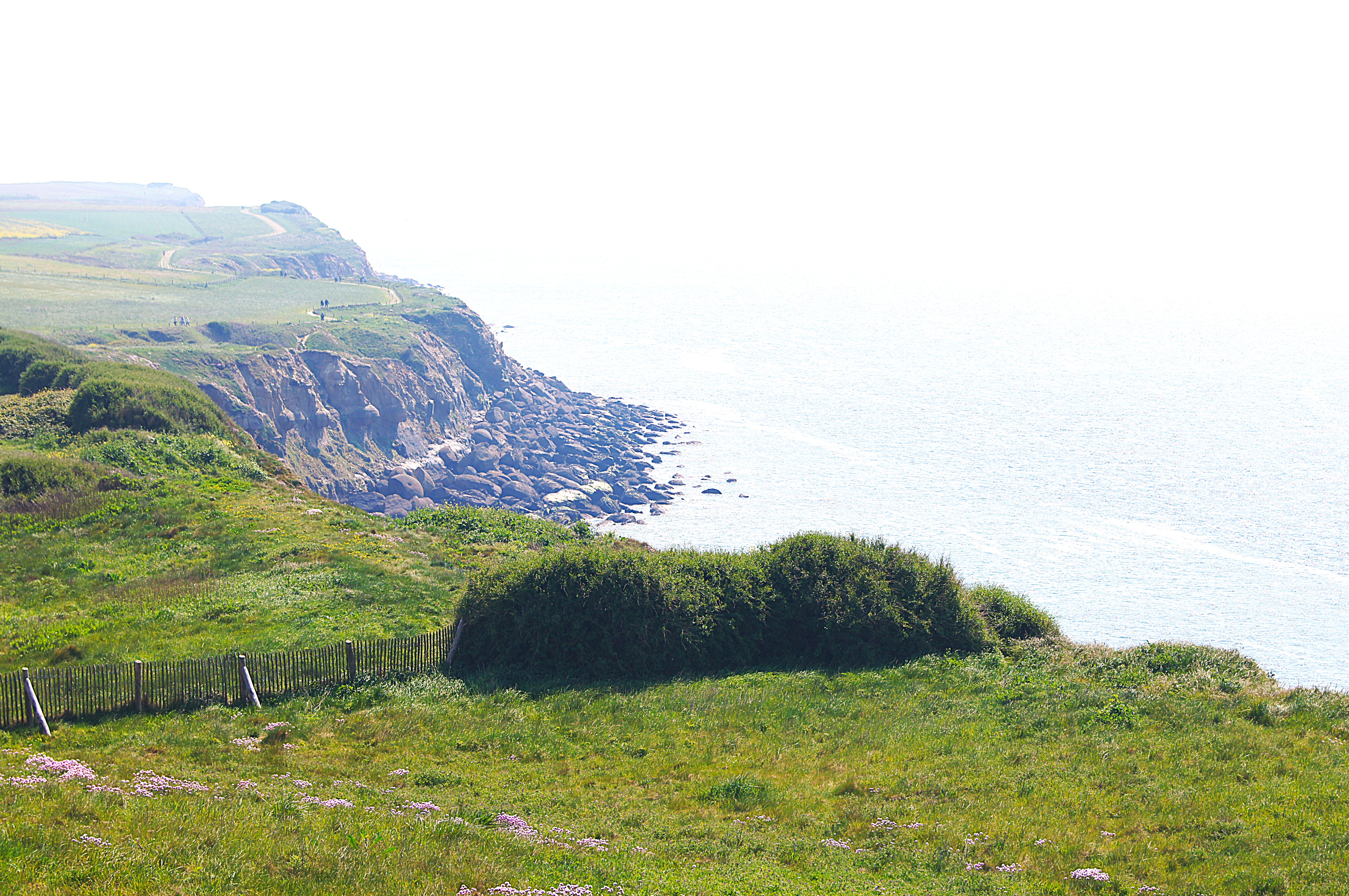 Image 59