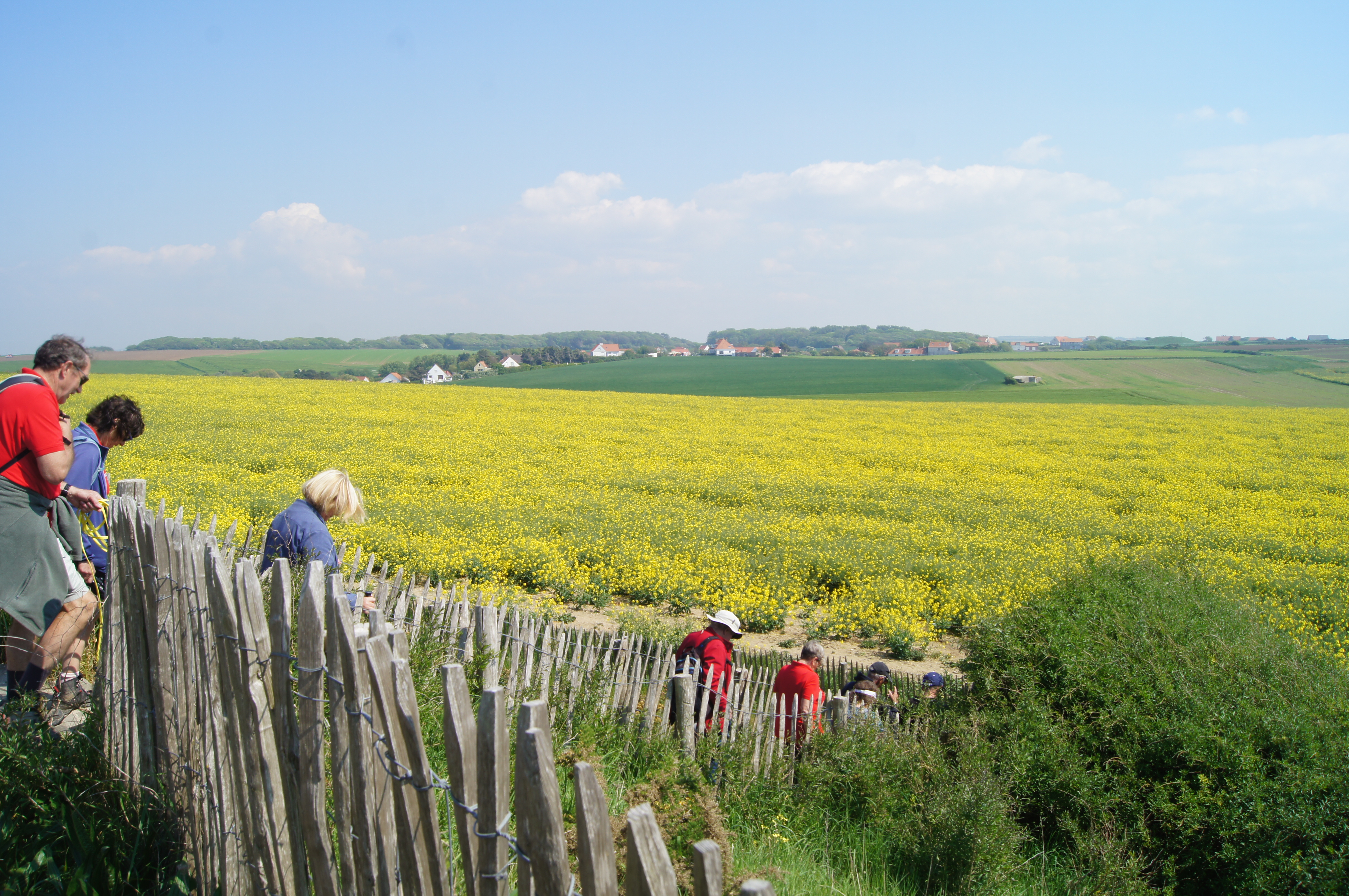 Image 91