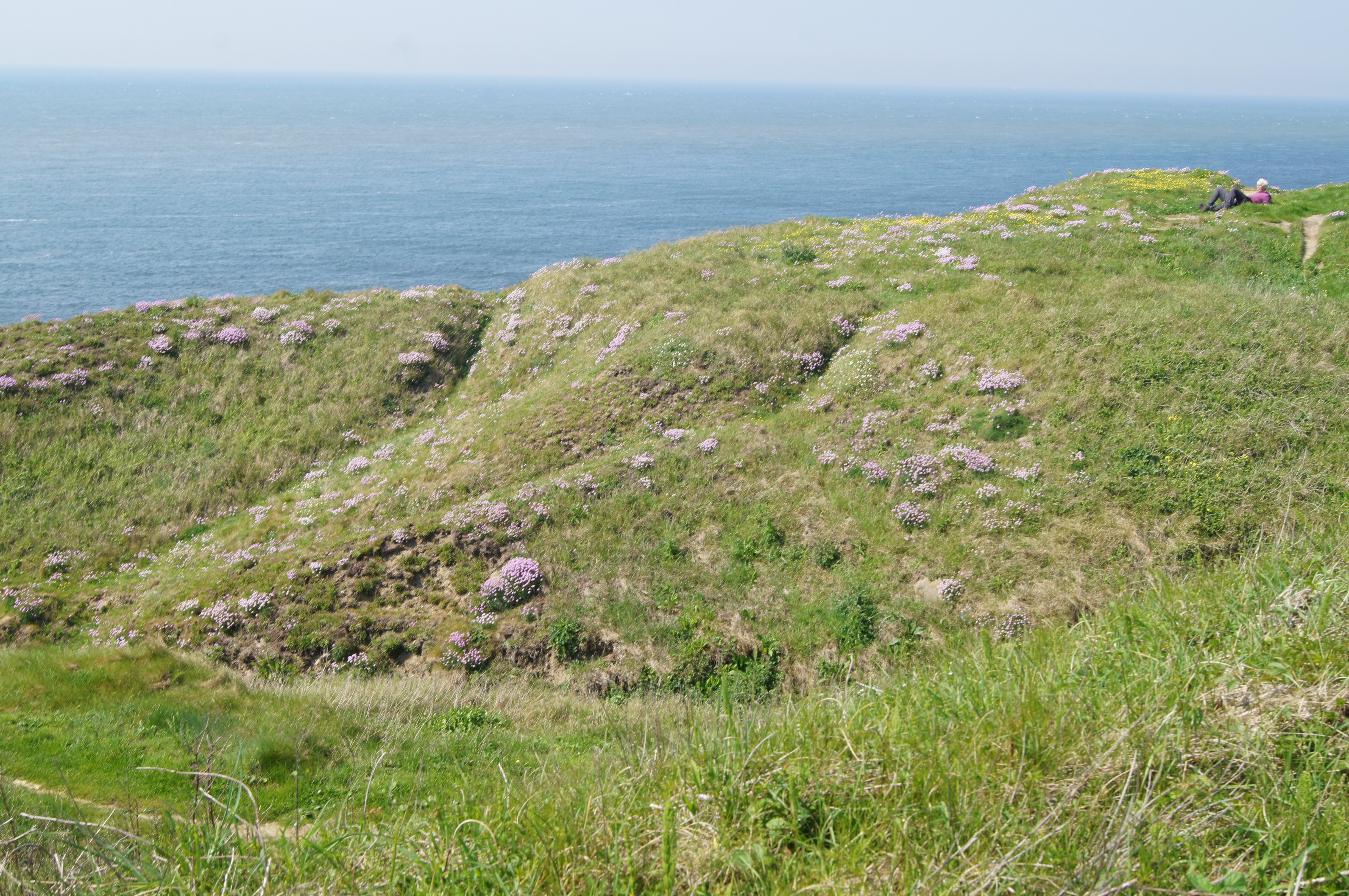 Image 61