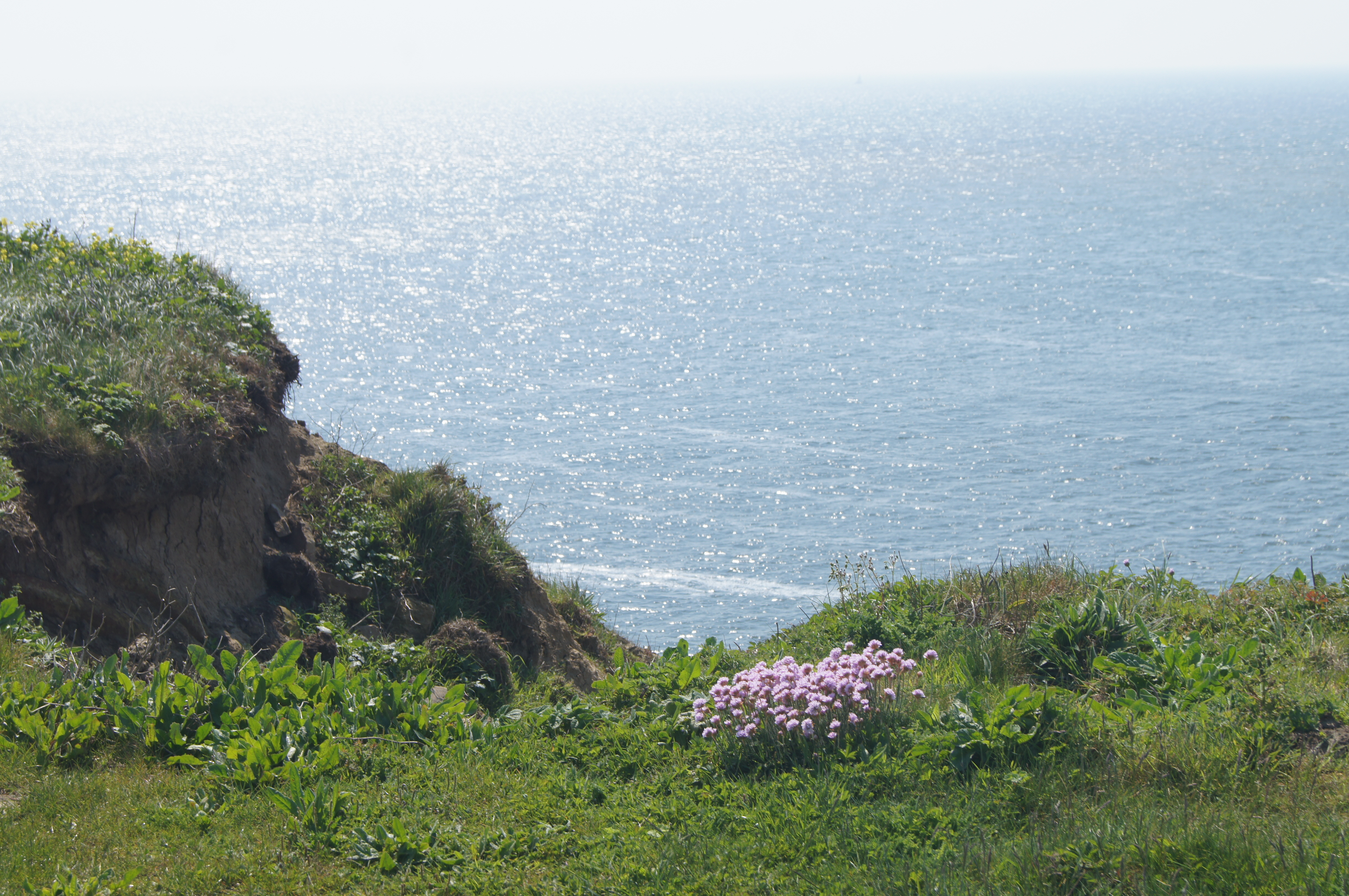 Image 125