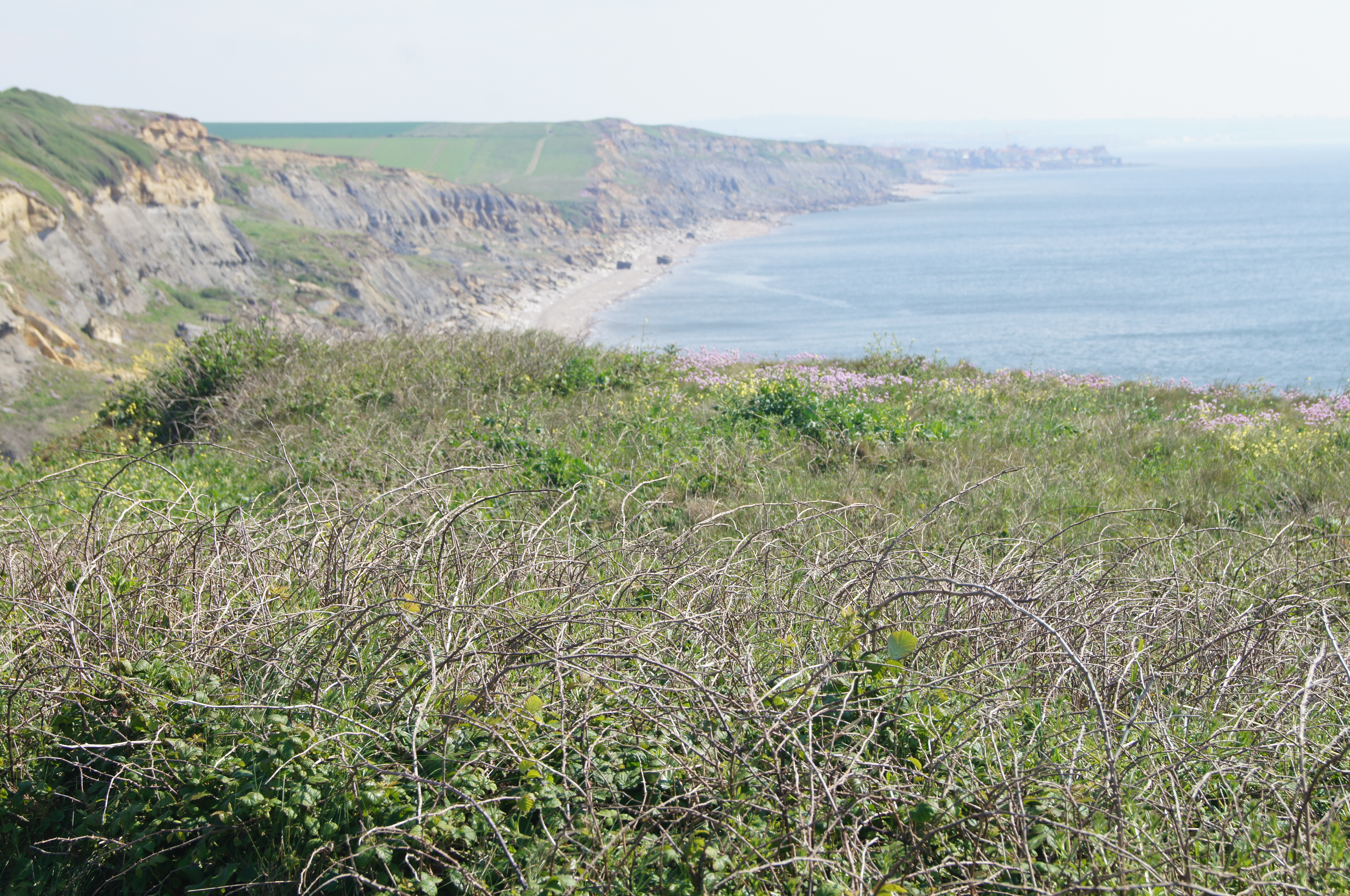 Image 153