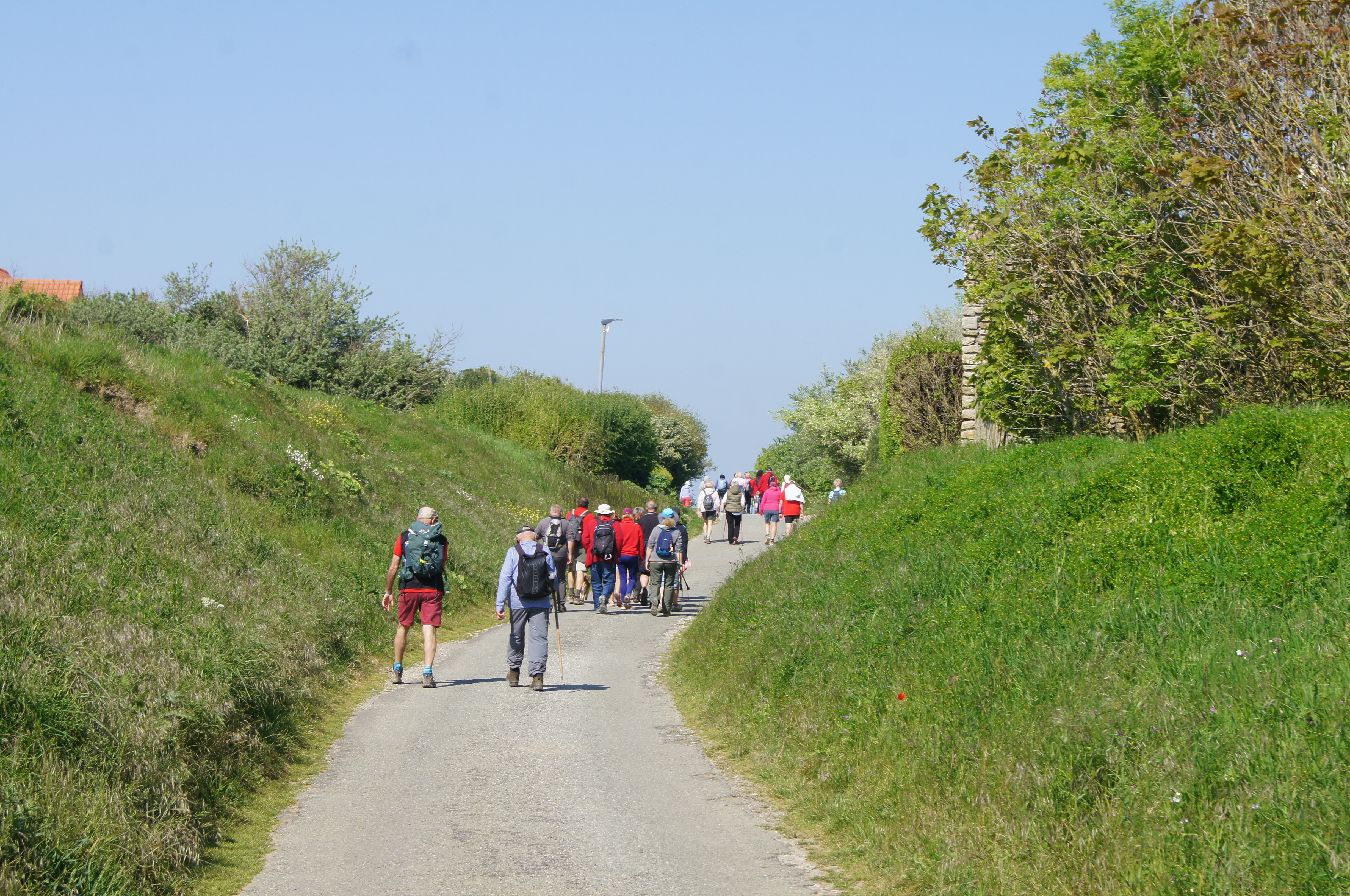 Image 281
