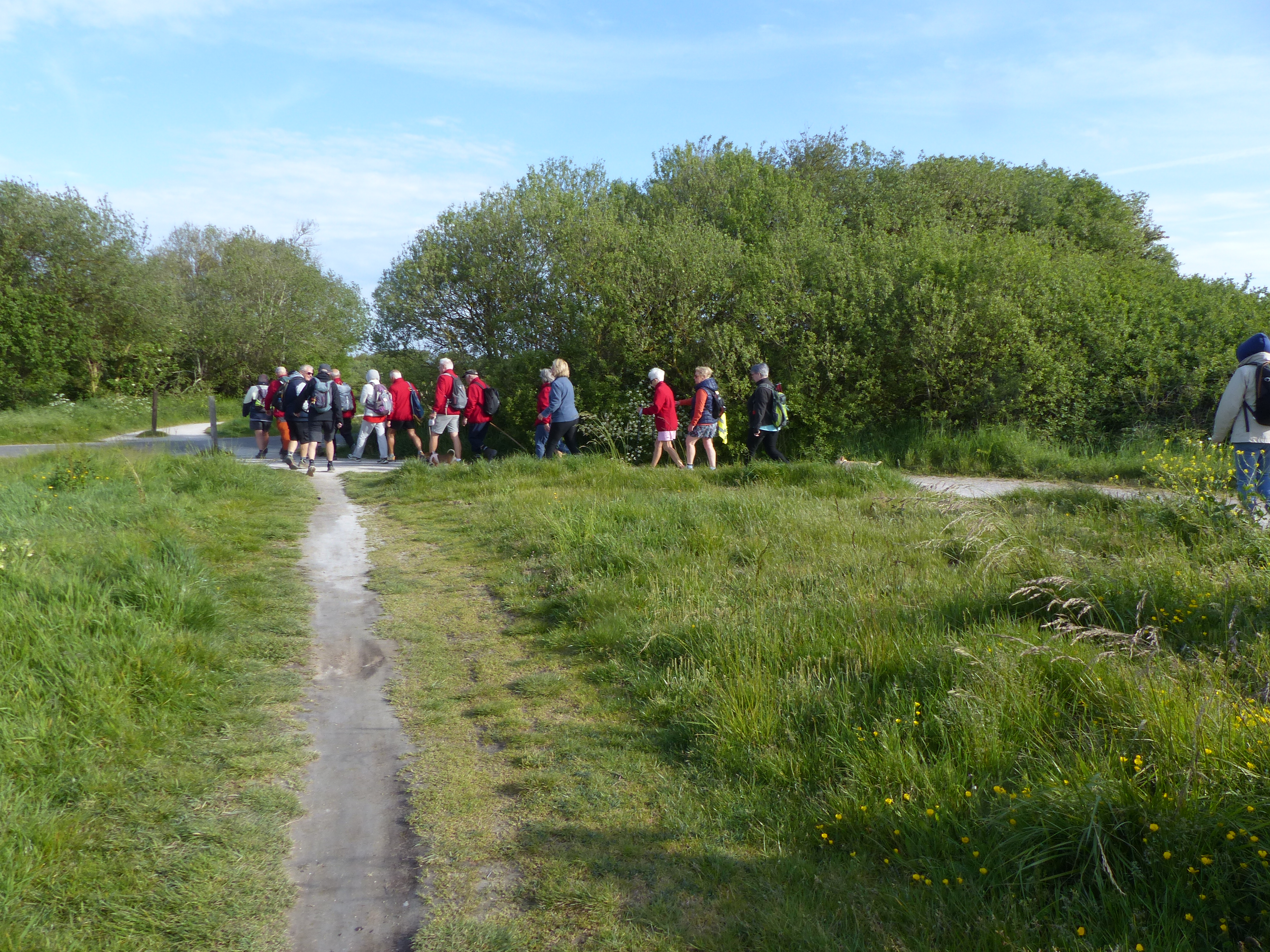 Image 89