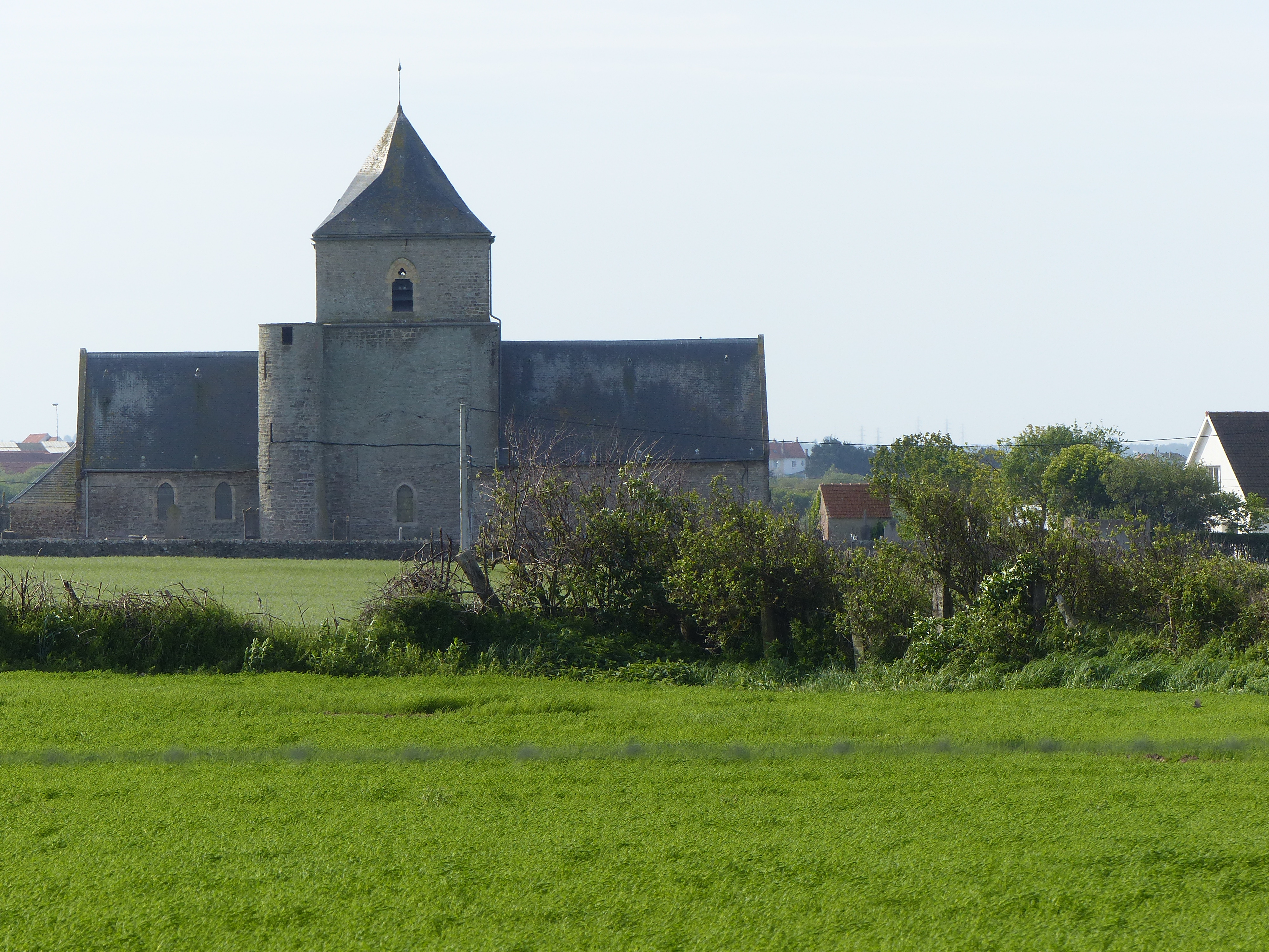 Image 124