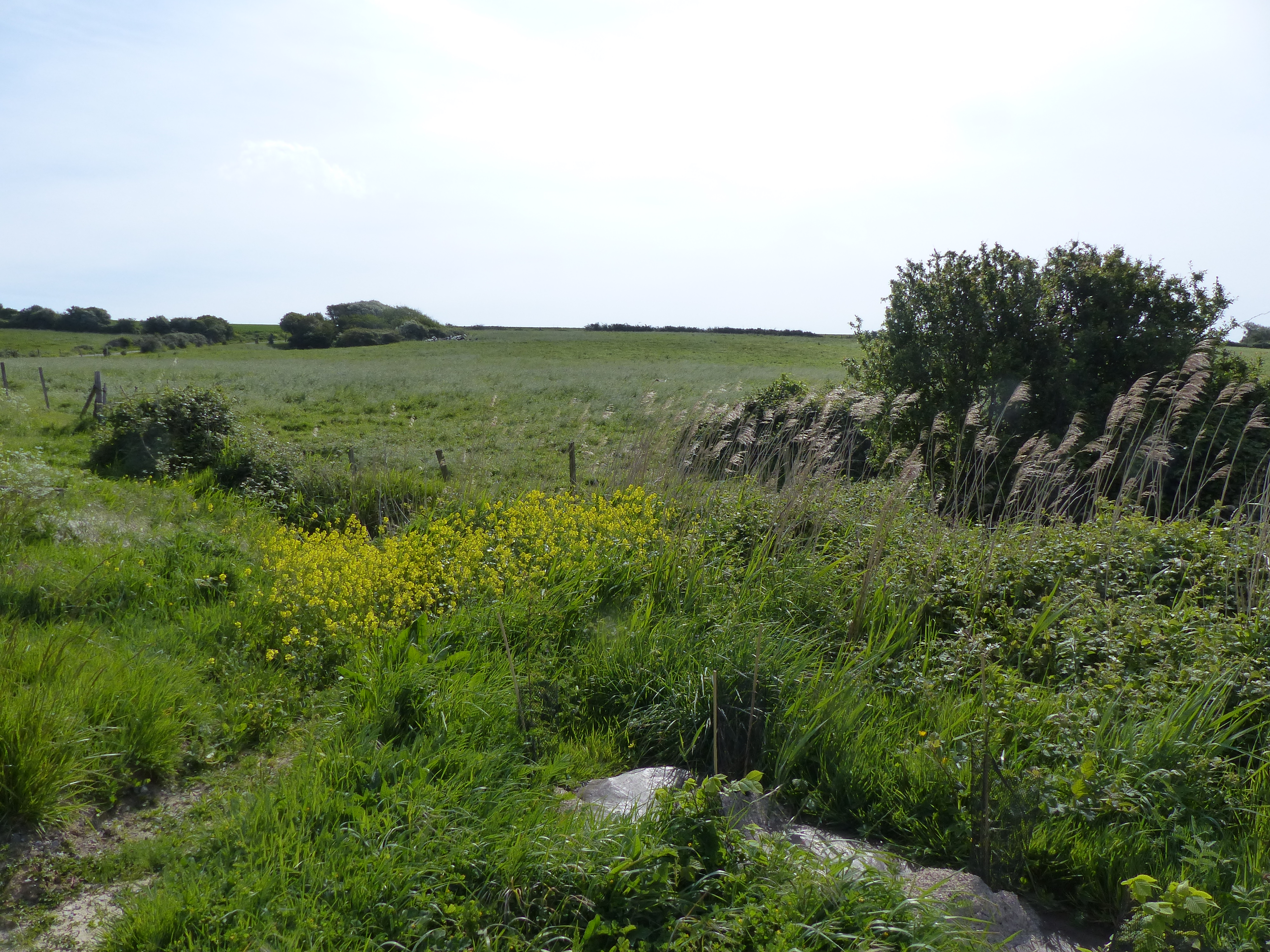 Image 41