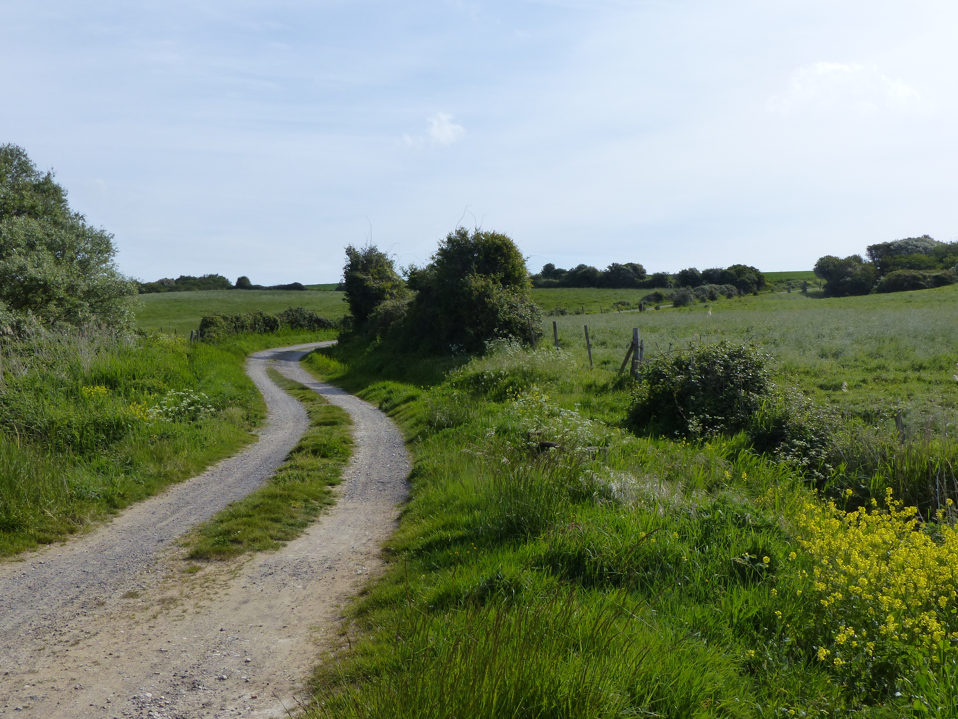 Image 208
