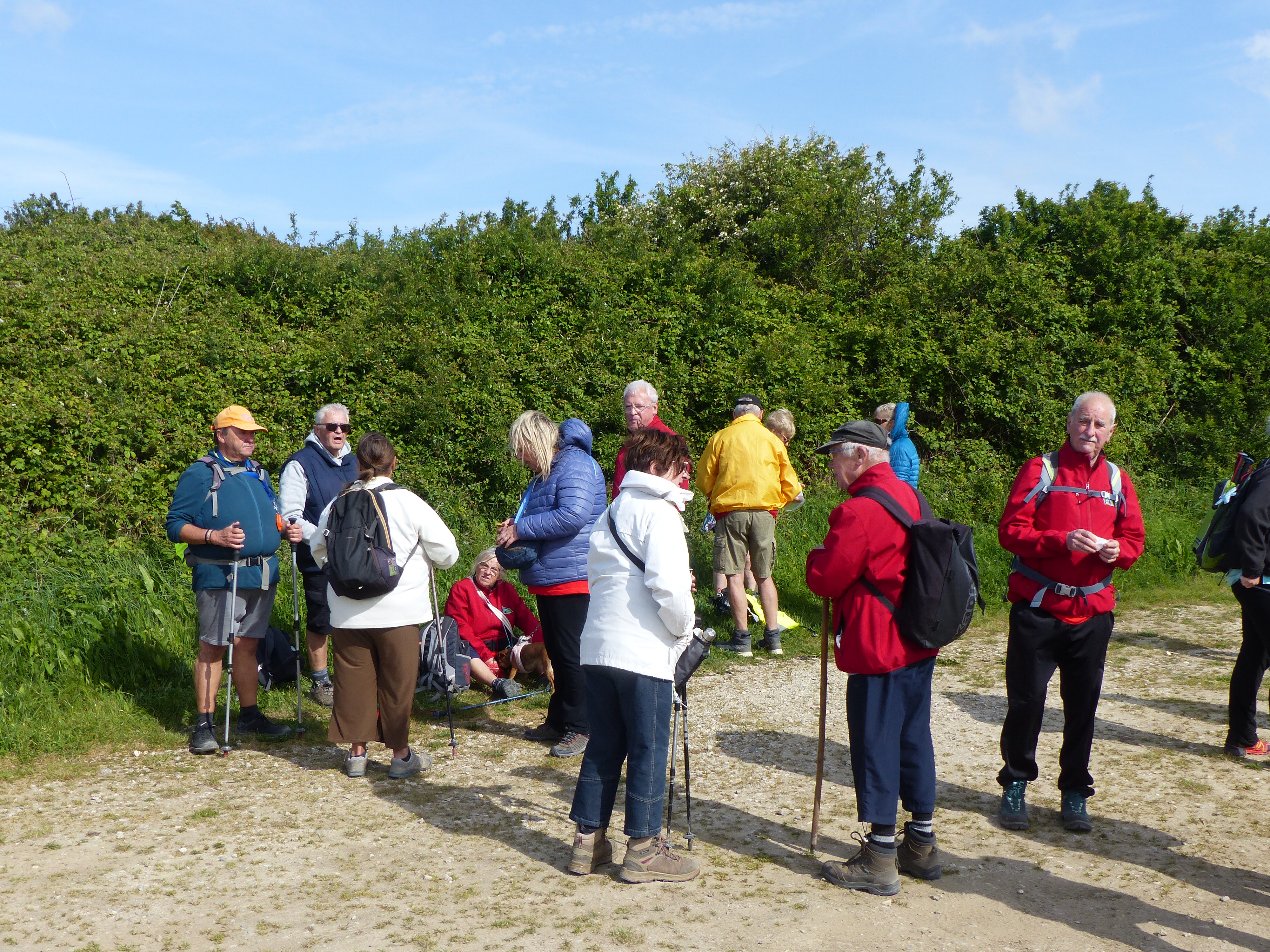 Image 70