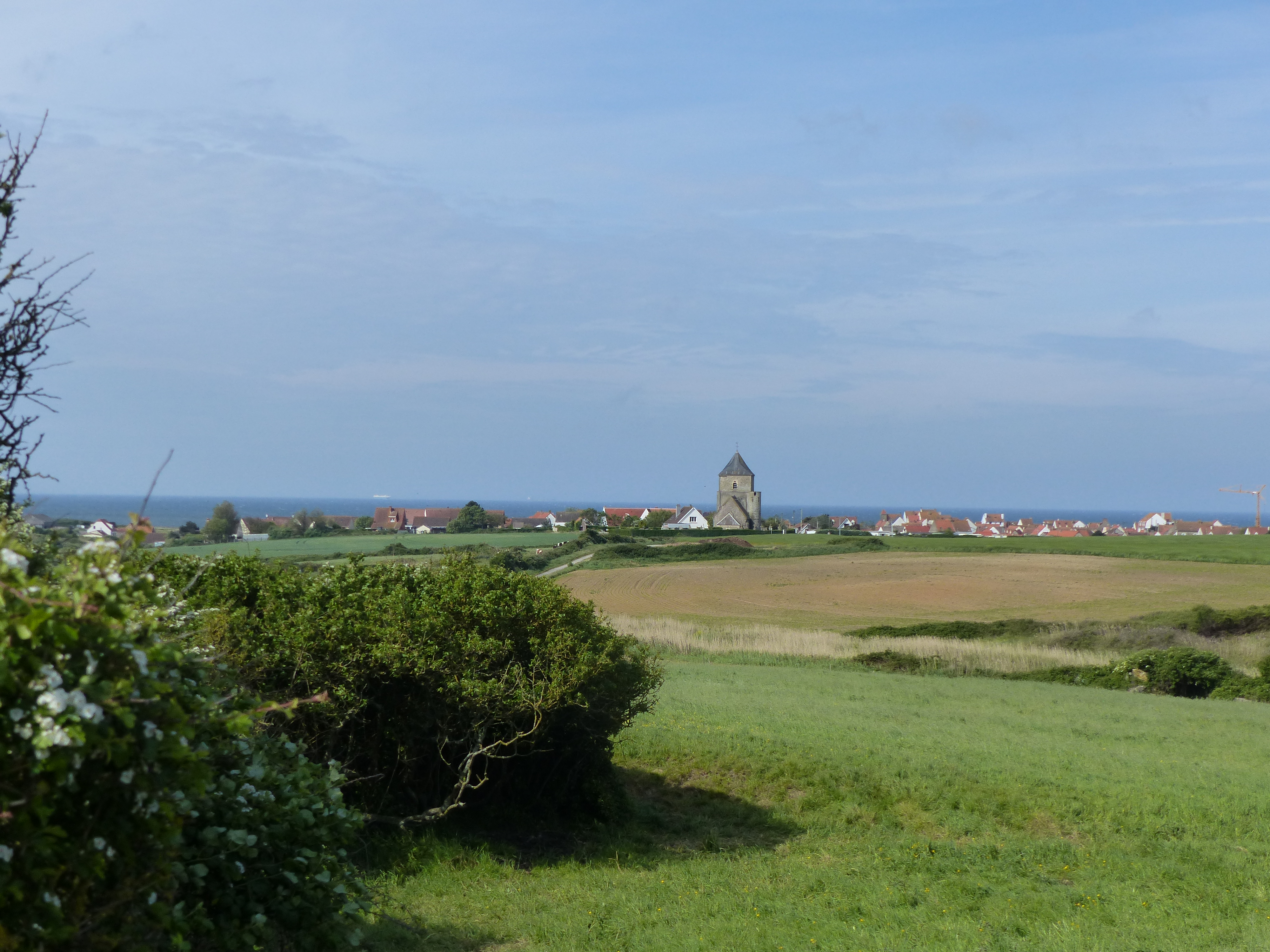 Image 268