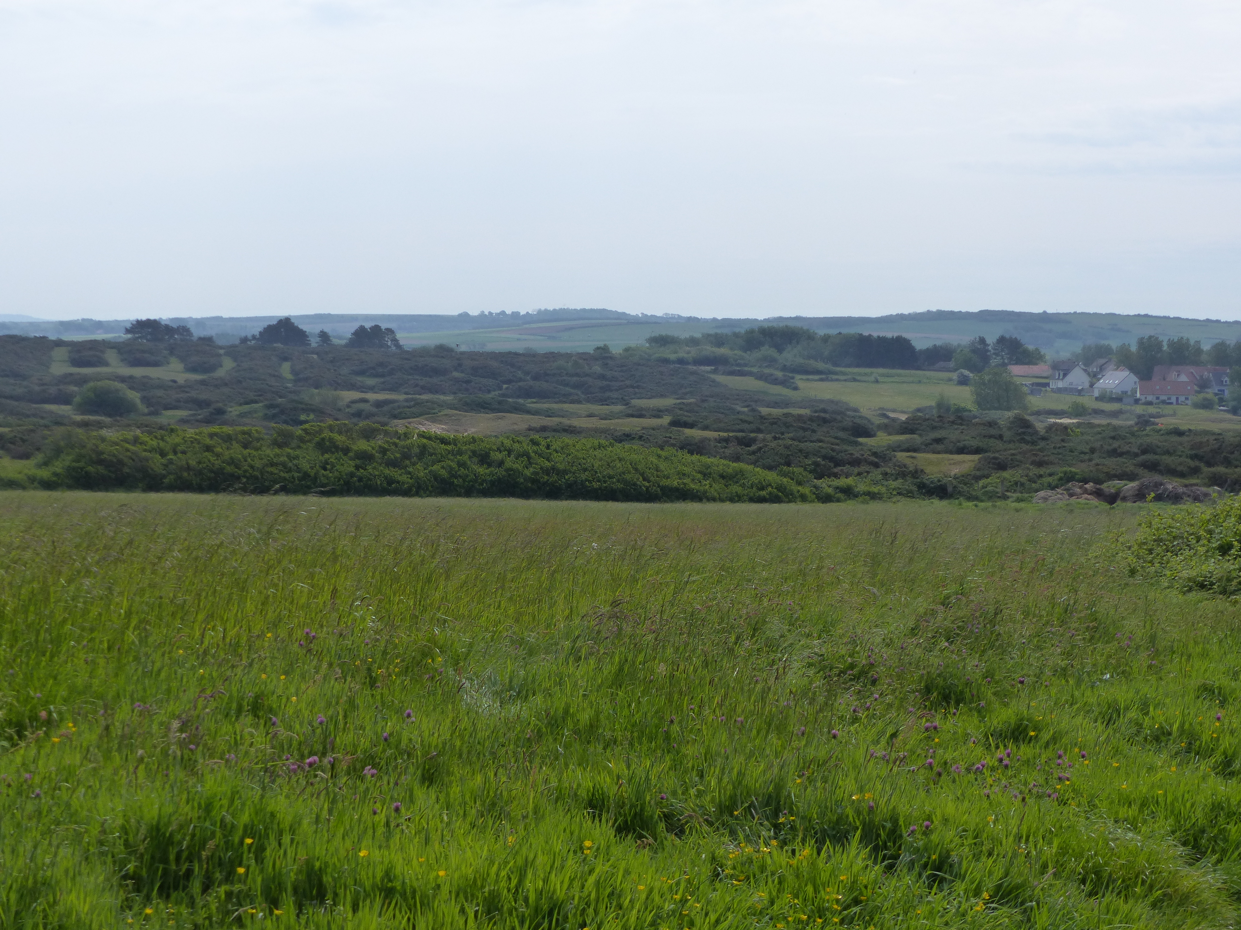 Image 293