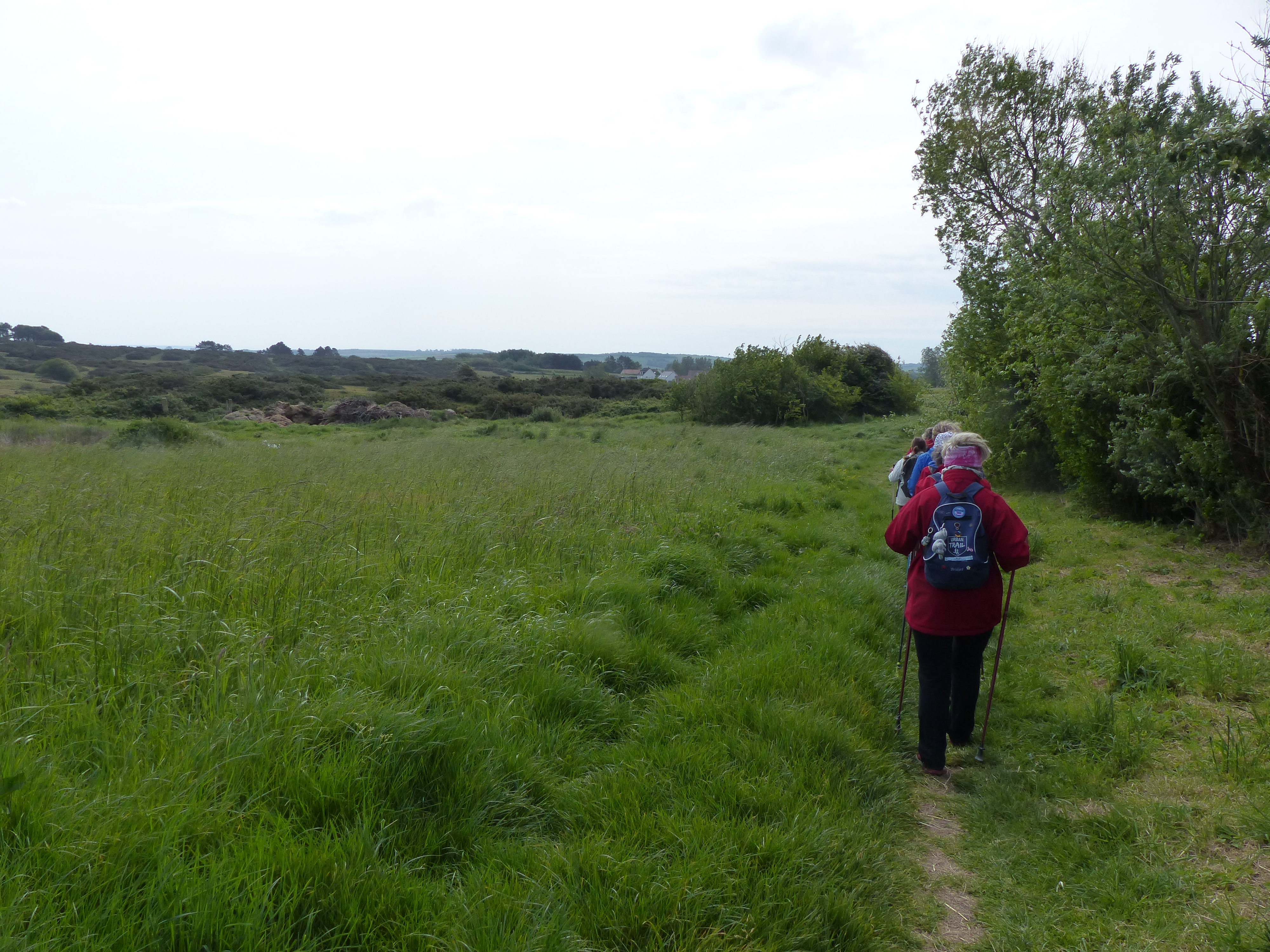 Image 106