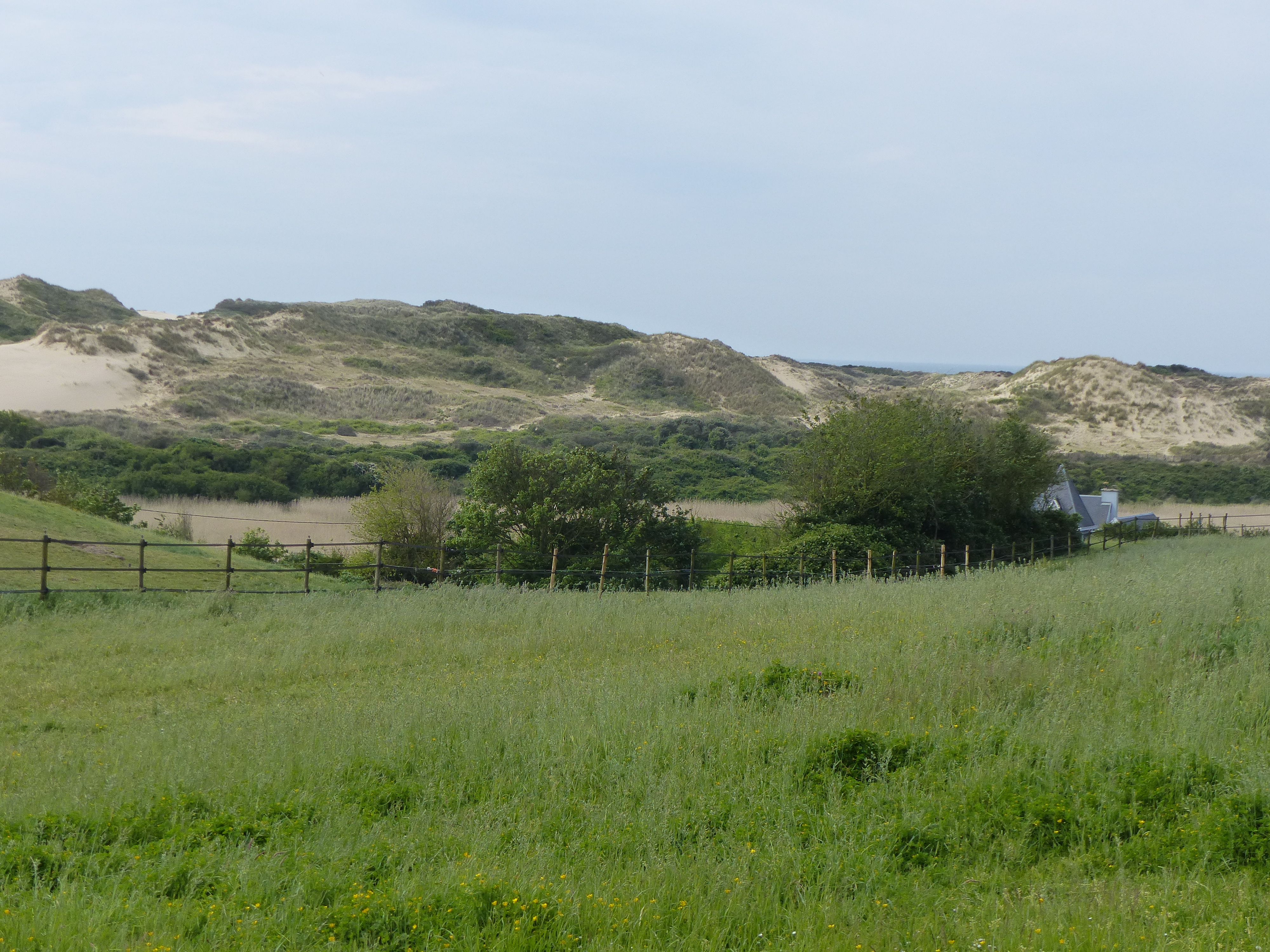Image 68