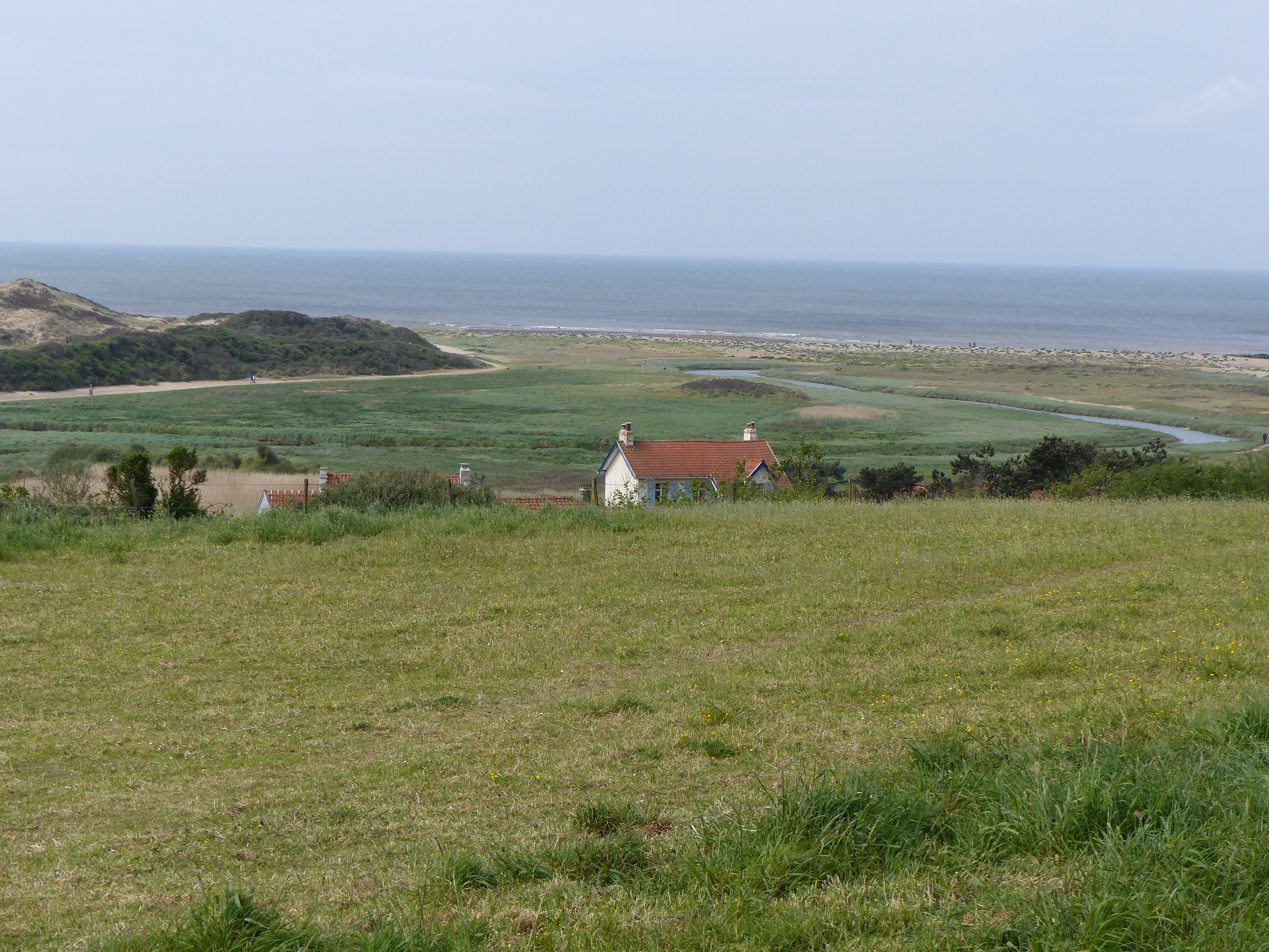 Image 176